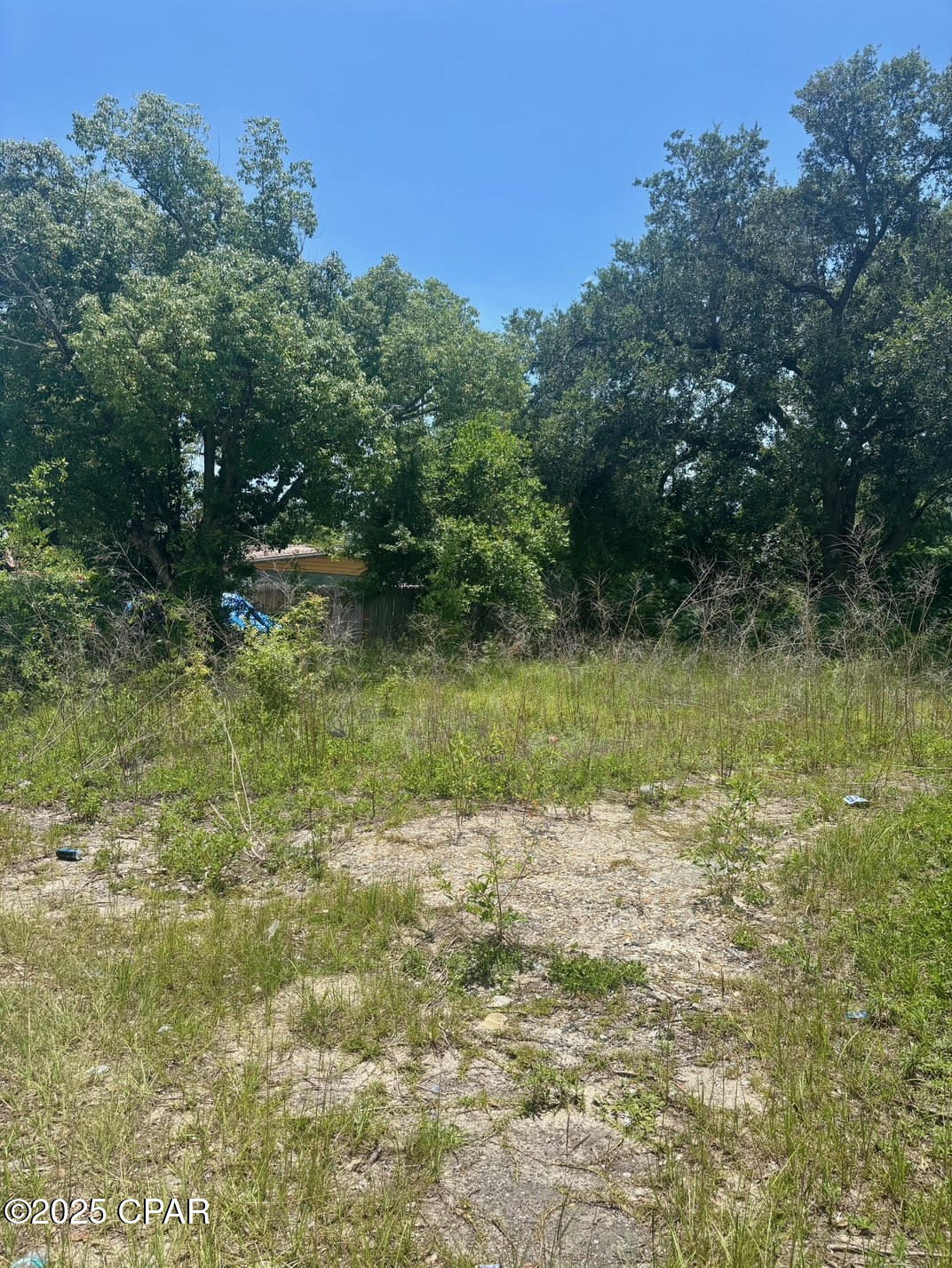713 Cactus Avenue, Panama City, Florida image 2