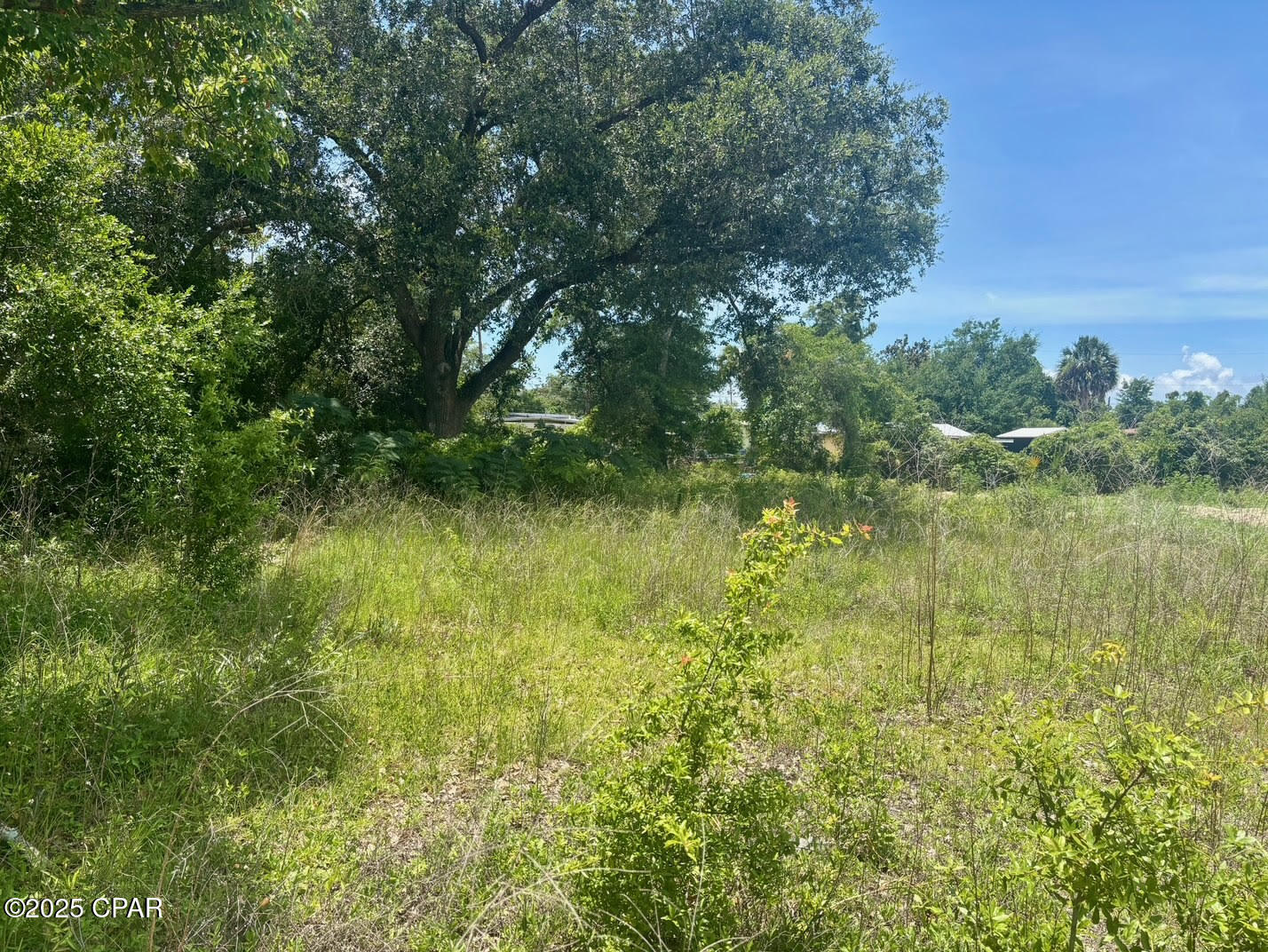 713 Cactus Avenue, Panama City, Florida image 3