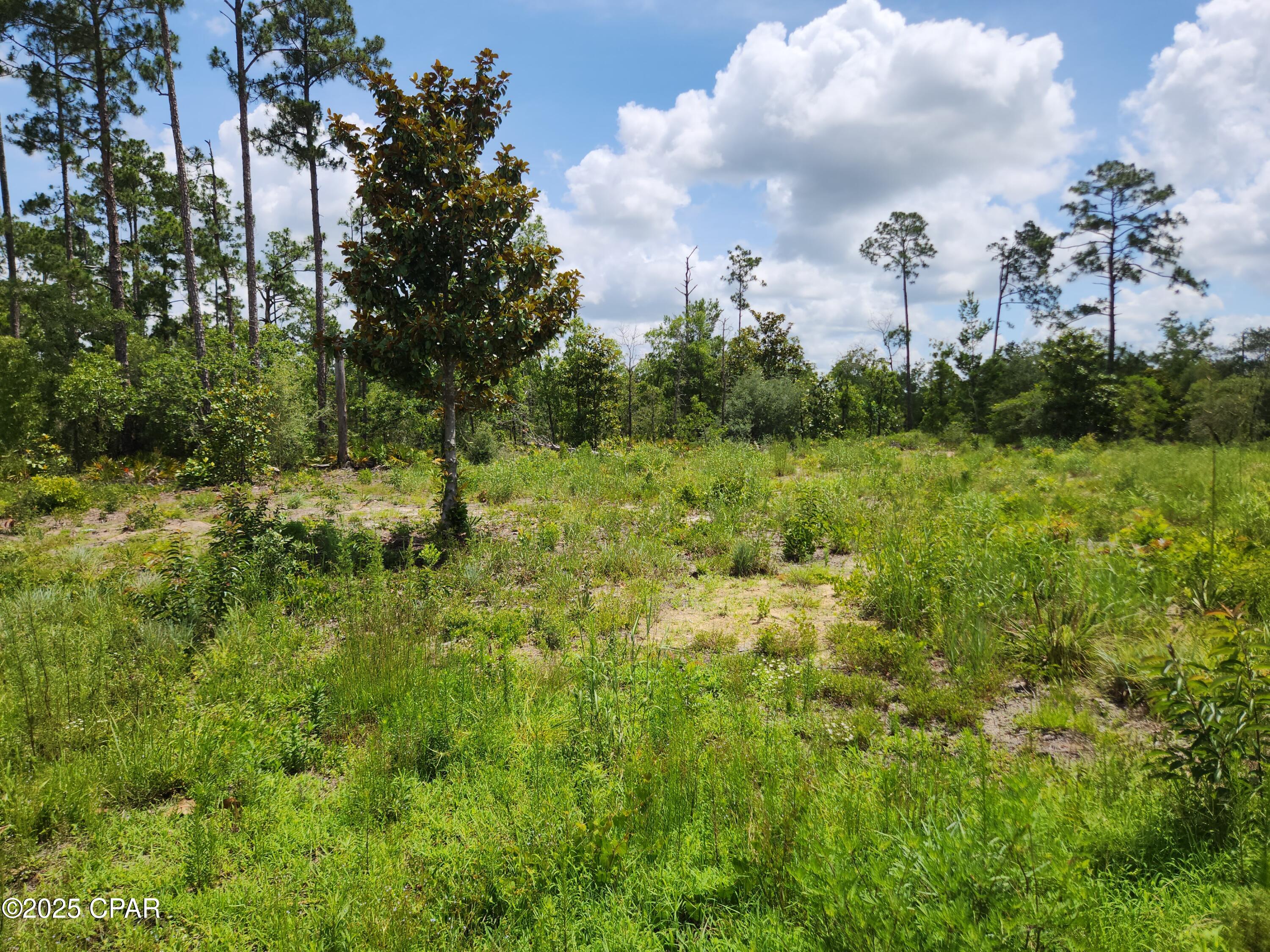 Details for Xxx Highway 20, Youngstown, FL 32466
