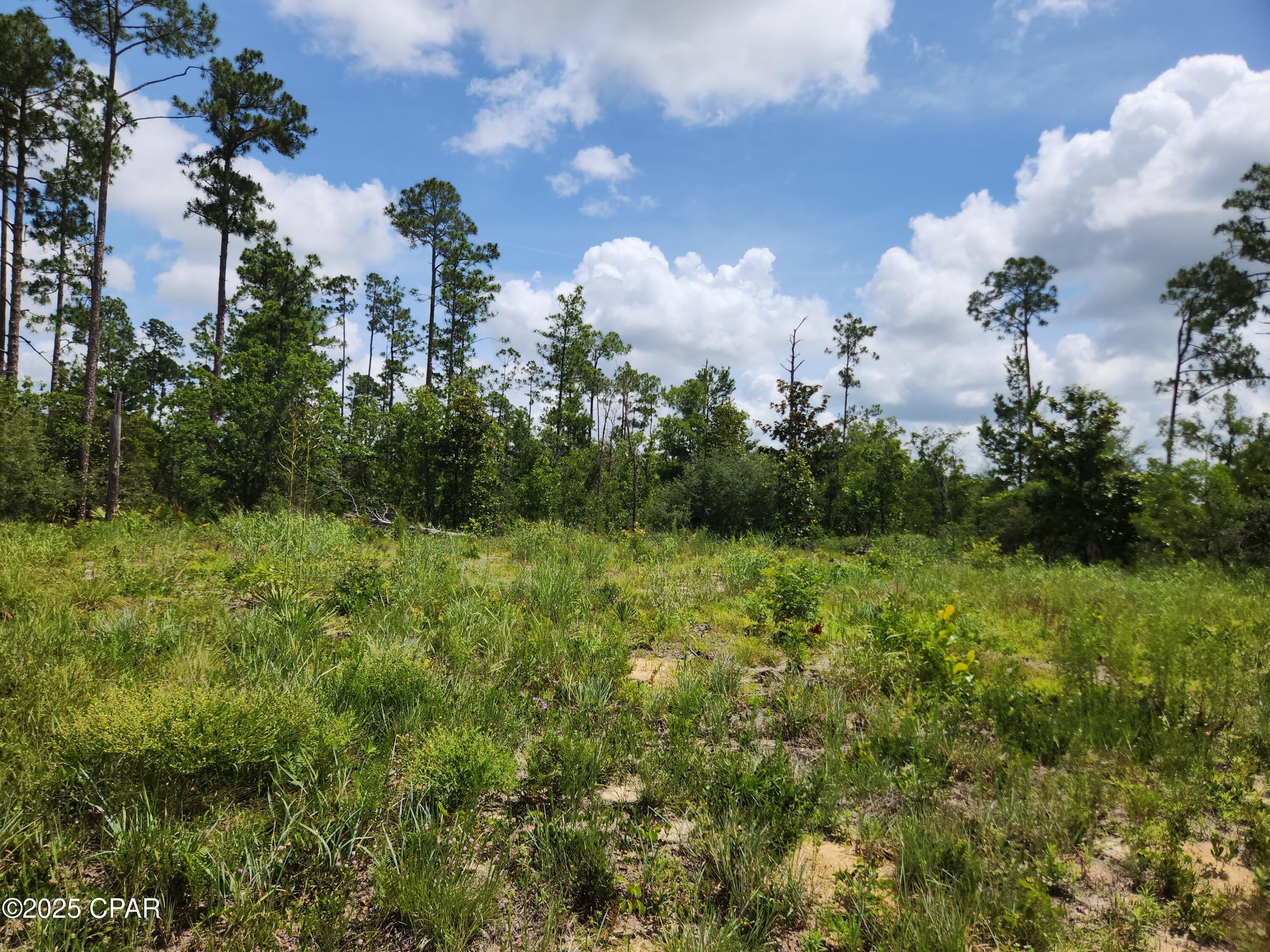 Xxx W Highway 20, Youngstown, Florida image 3