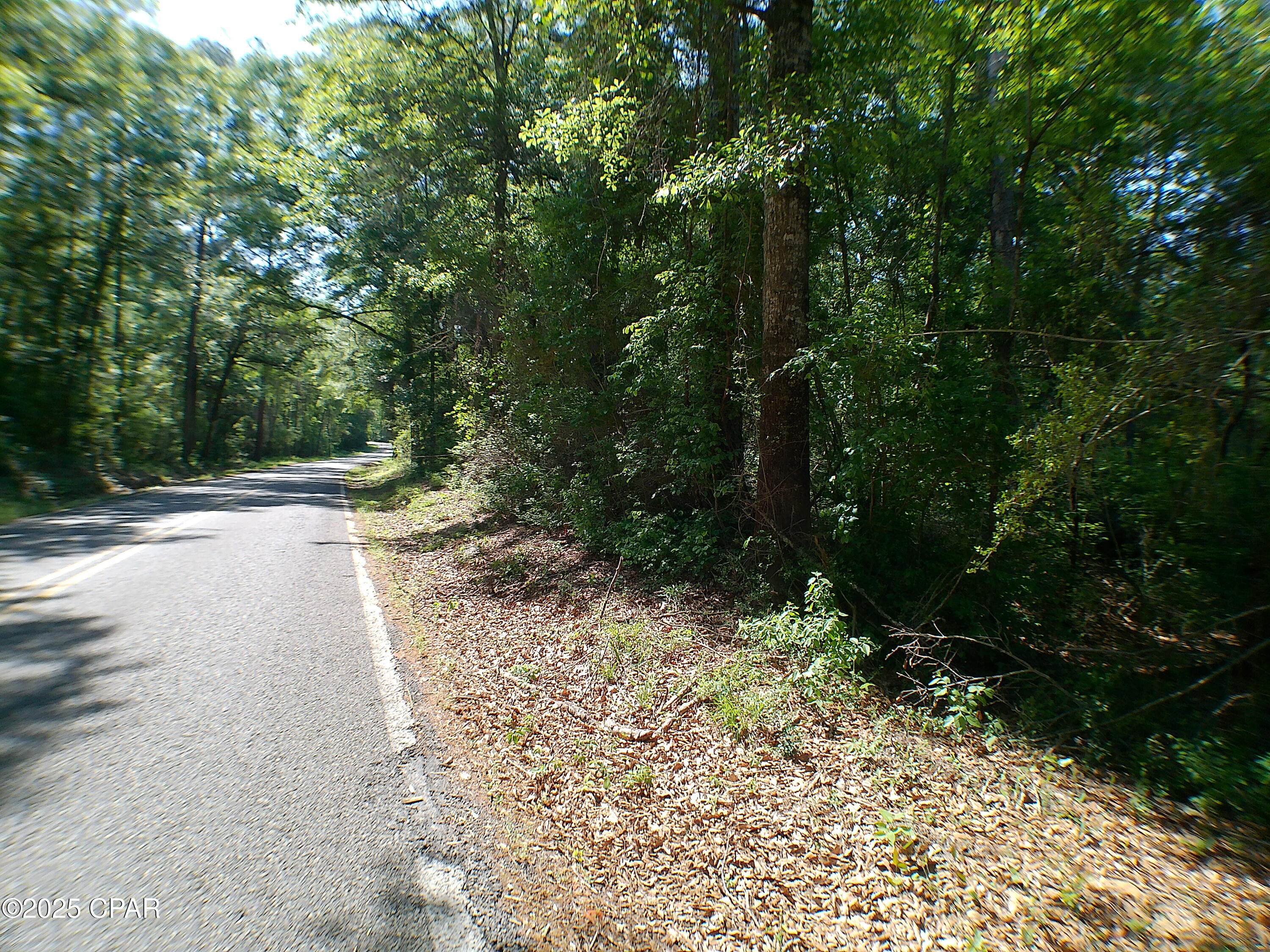 00 Christian Life Road #17.25, Defuniak Springs, Florida image 12