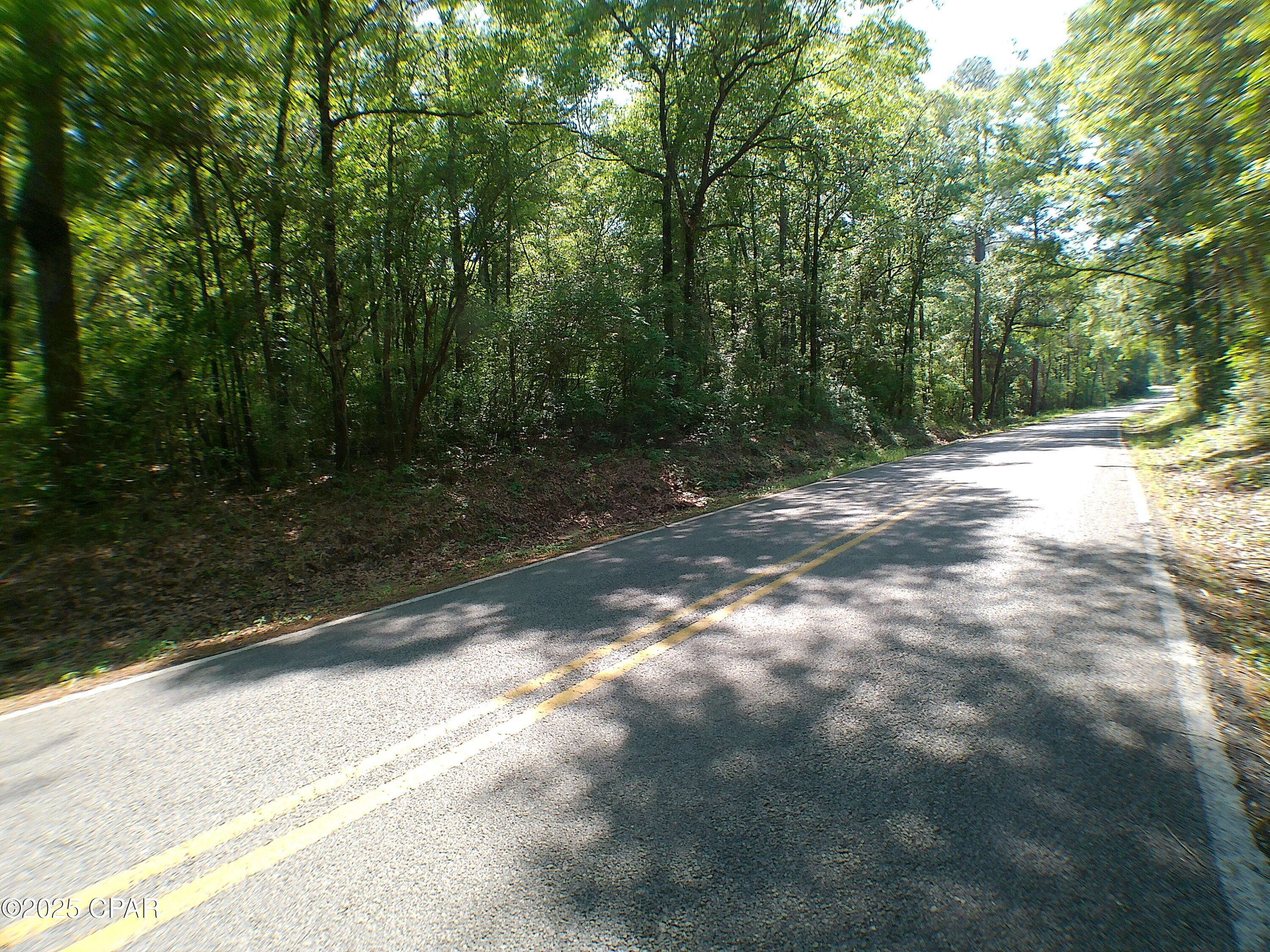 00 Christian Life Road #17.25, Defuniak Springs, Florida image 6