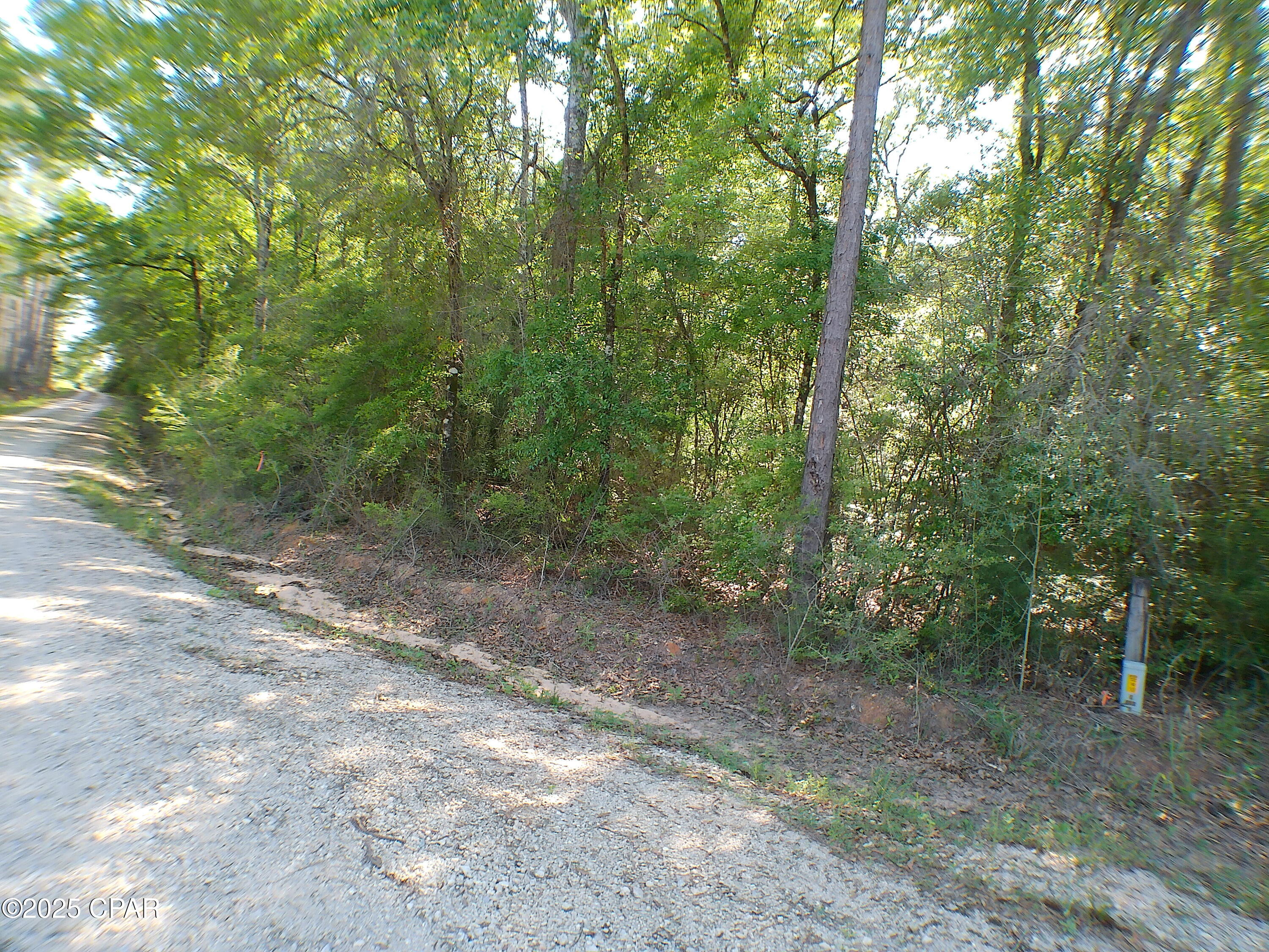 00 Christian Life Road #17.25, Defuniak Springs, Florida image 9