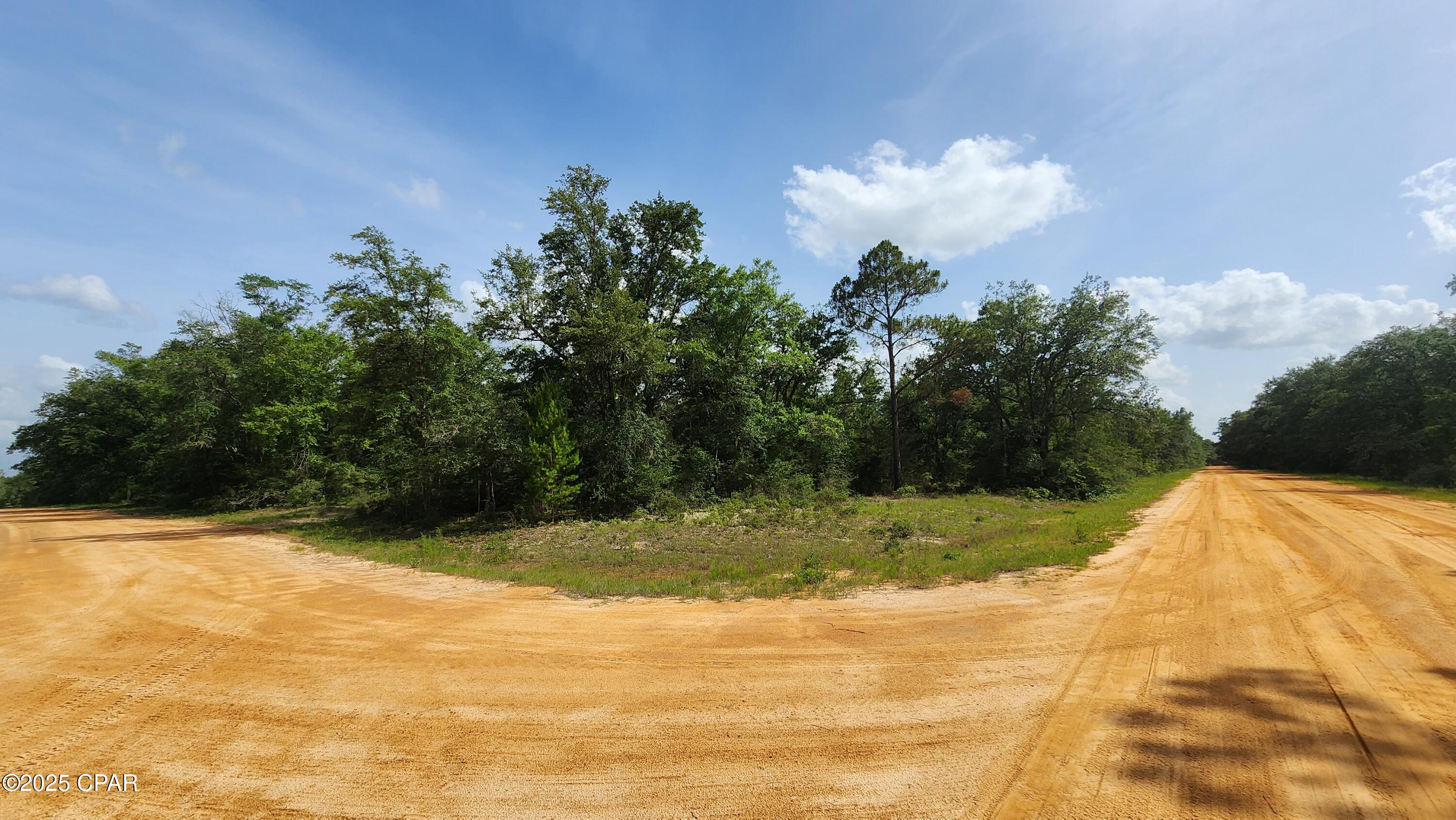 Persimmon Lane #LOT 1, Marianna, Florida image 1