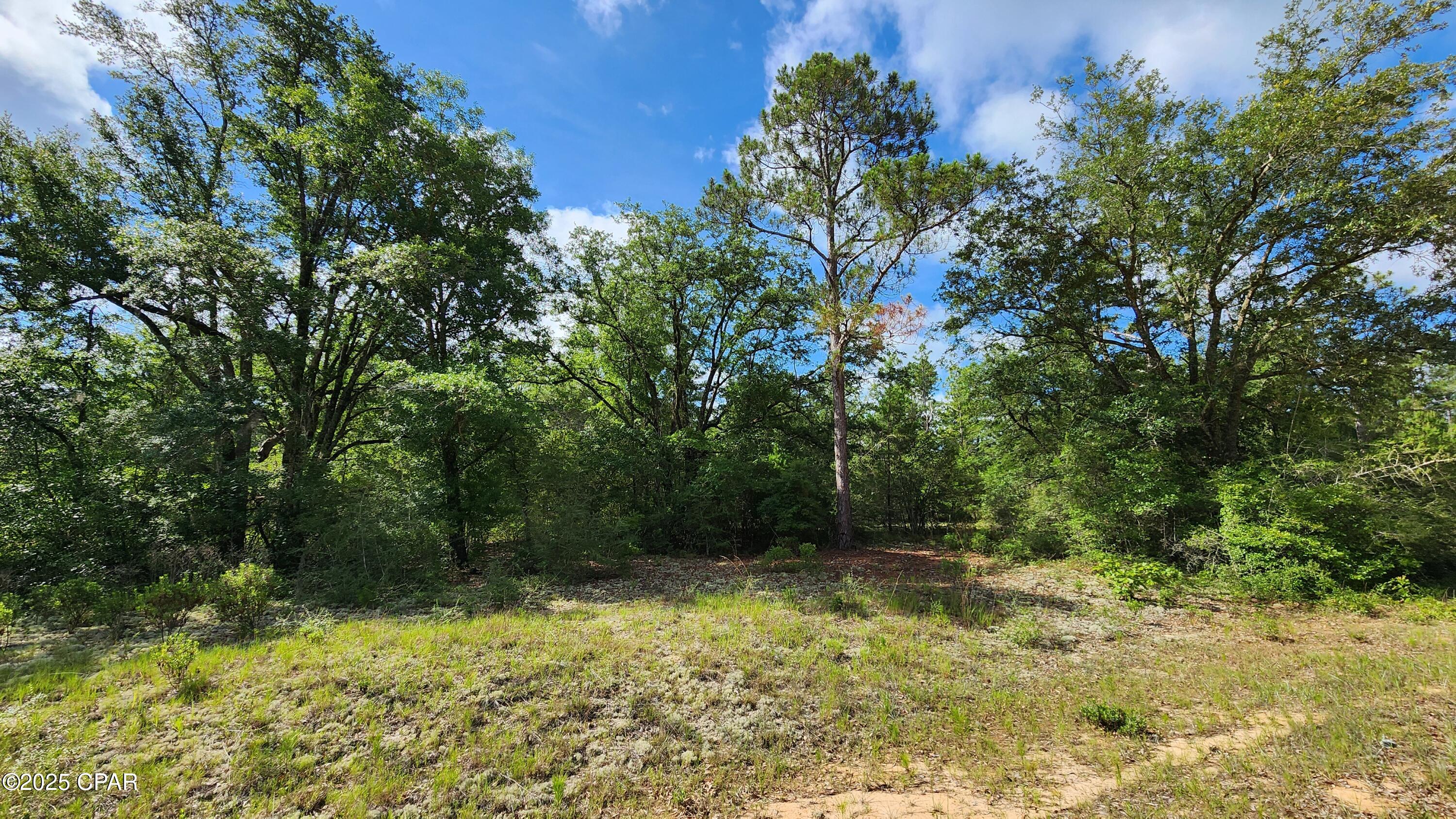 Persimmon Lane #LOT 1, Marianna, Florida image 4