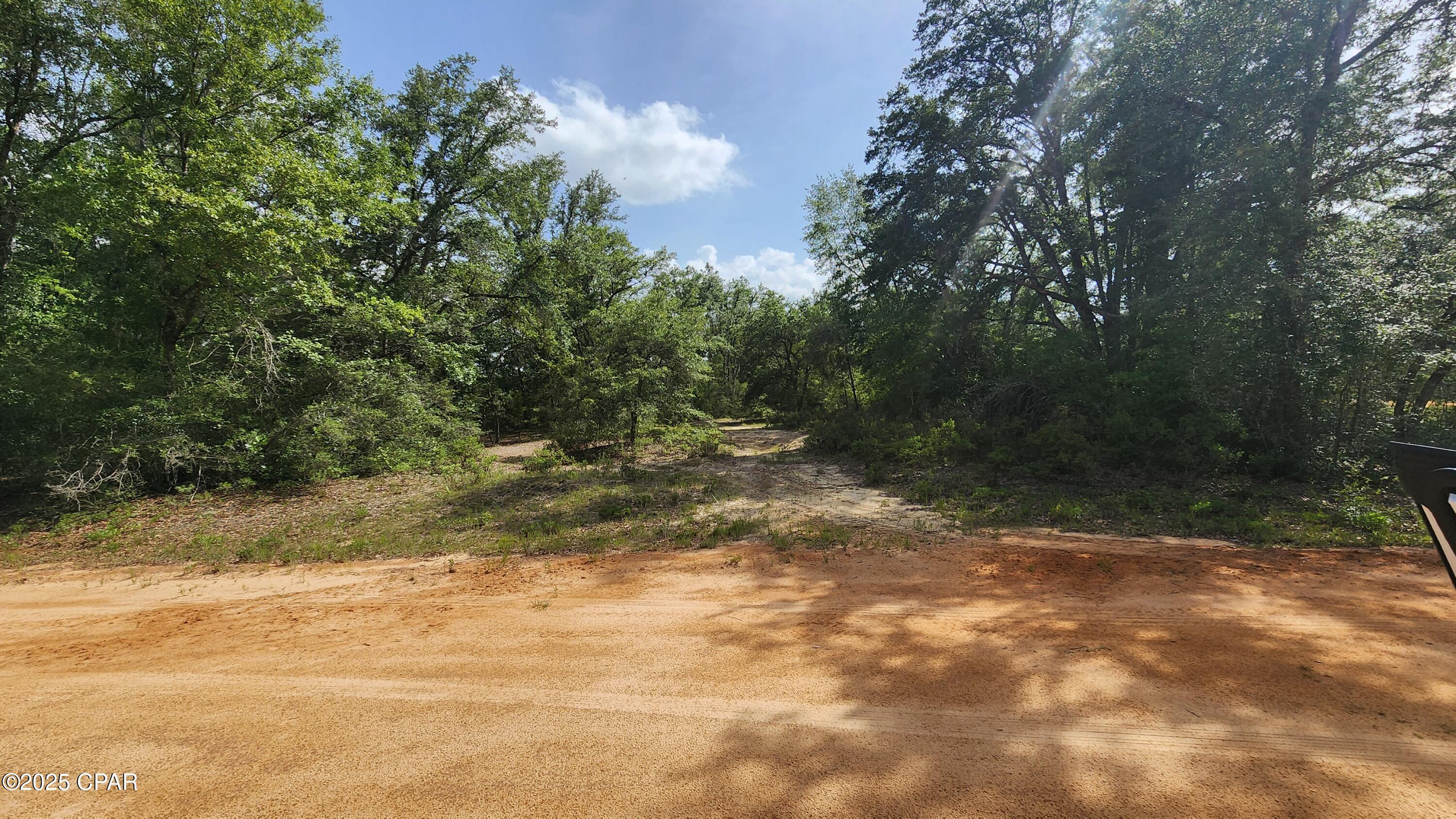Persimmon Lane #LOT 1, Marianna, Florida image 7