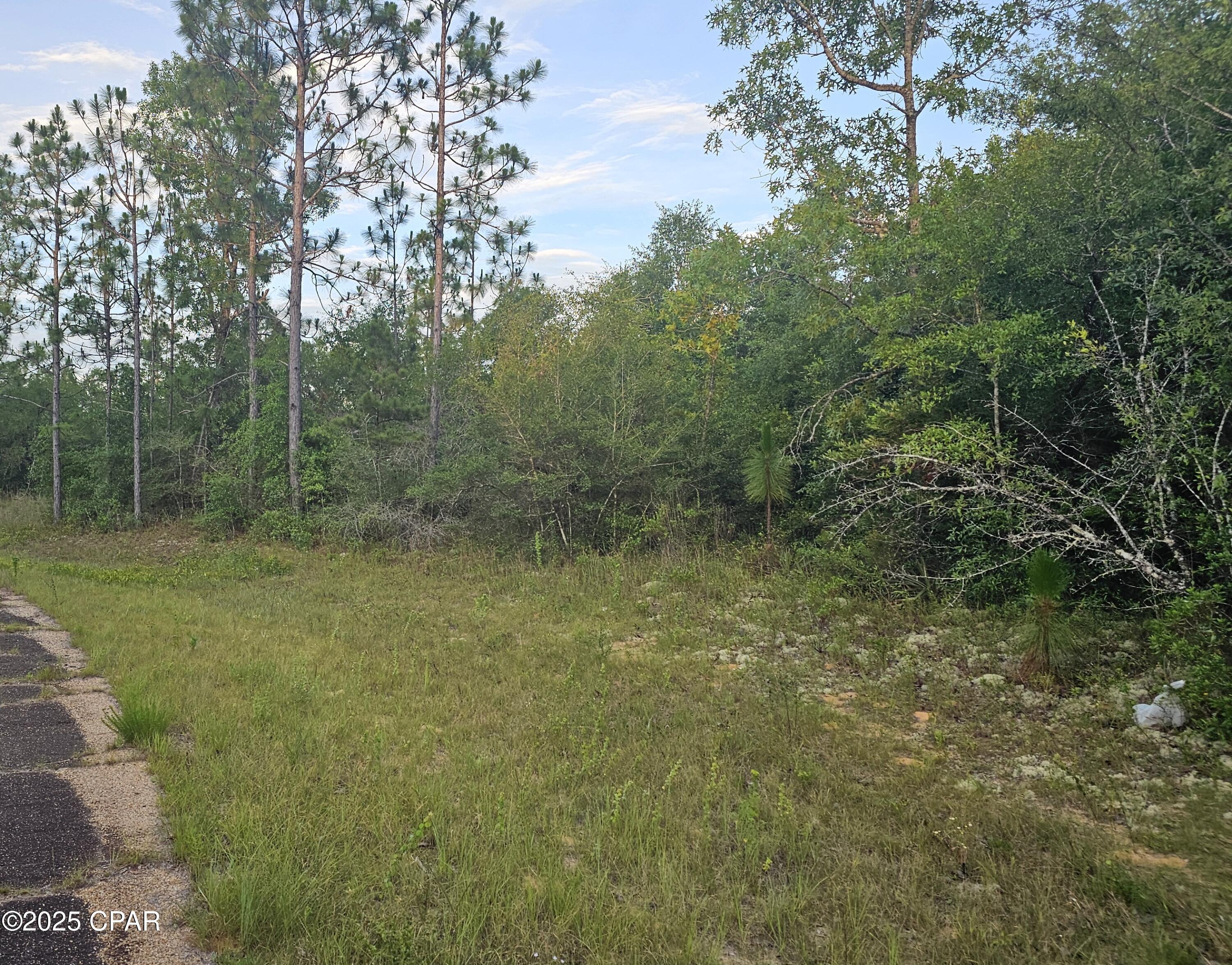 30-31-32 Hunter Circle, Chipley, Florida image 6