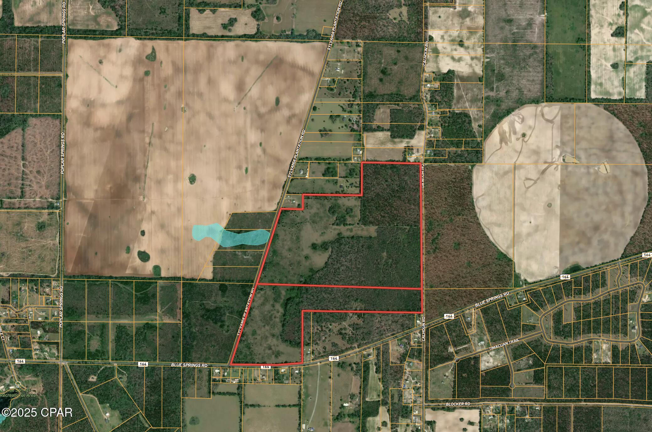 0000 Blue Springs Road, Greenwood, Florida image 13