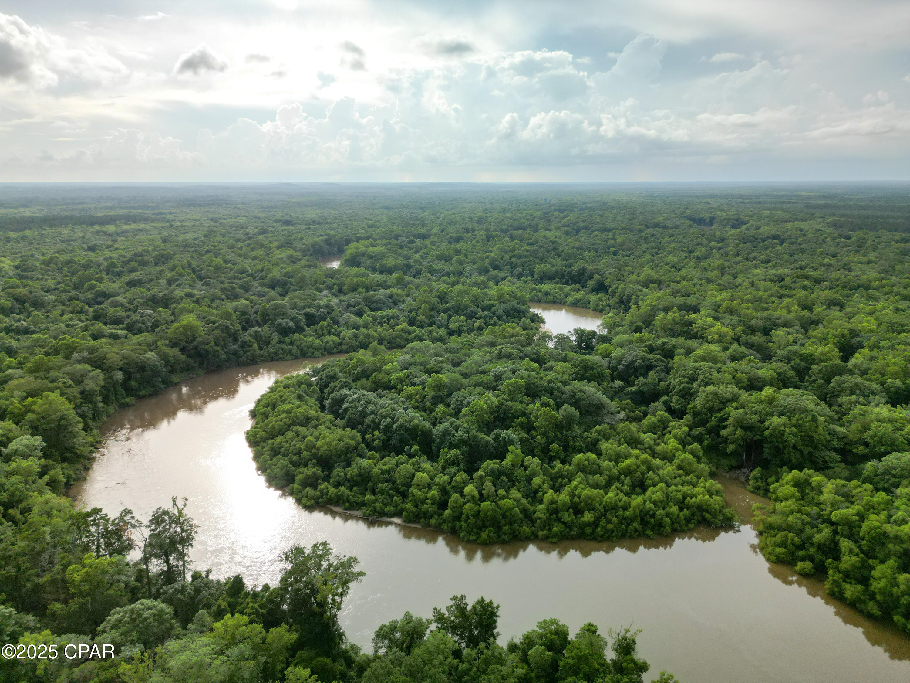 2222 Shady Hollow Lane, Caryville, Florida image 19