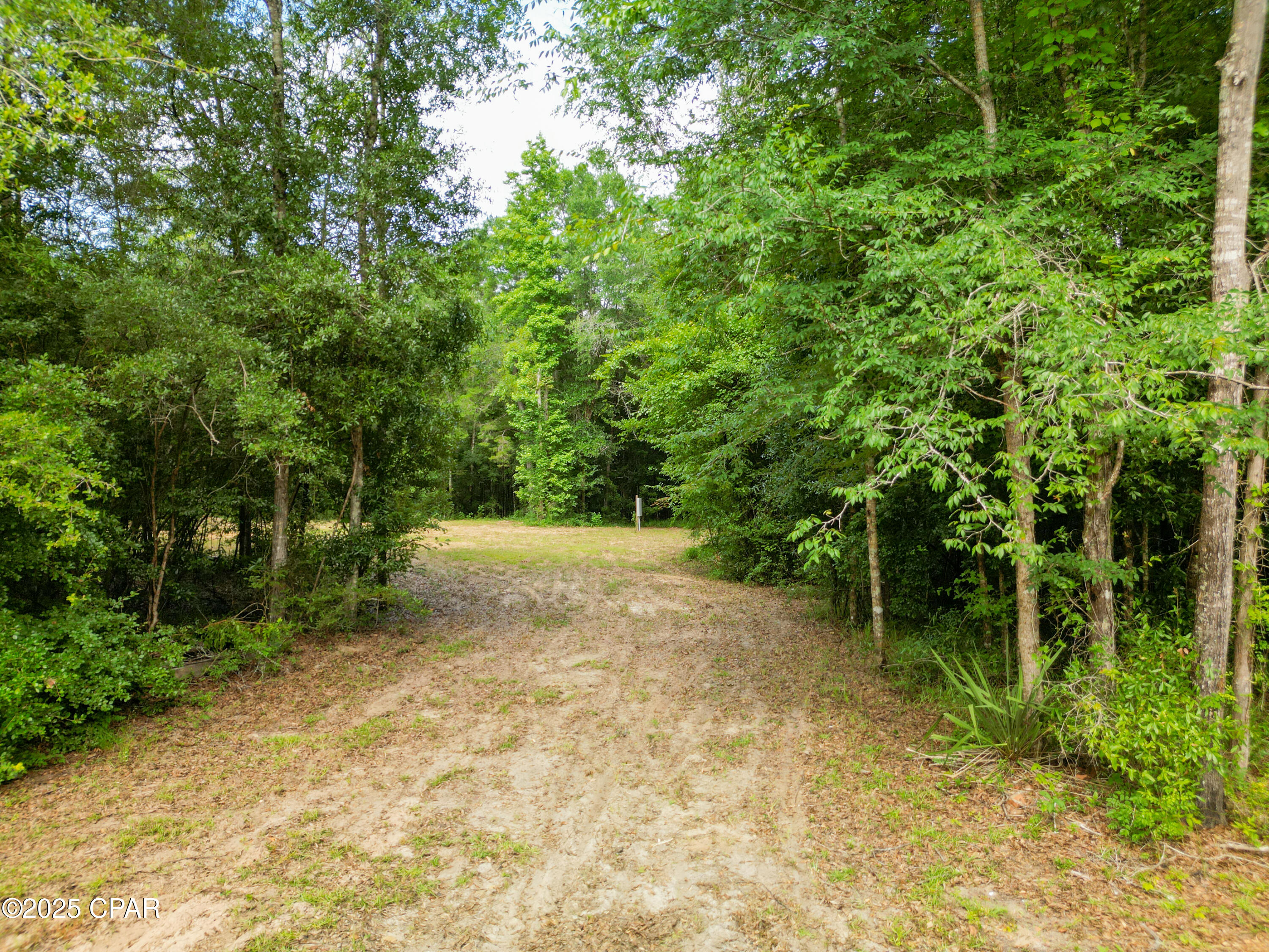 2222 Shady Hollow Lane, Caryville, Florida image 5