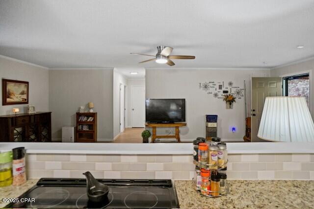 2956 Caledonia Street, Marianna, Florida image 32