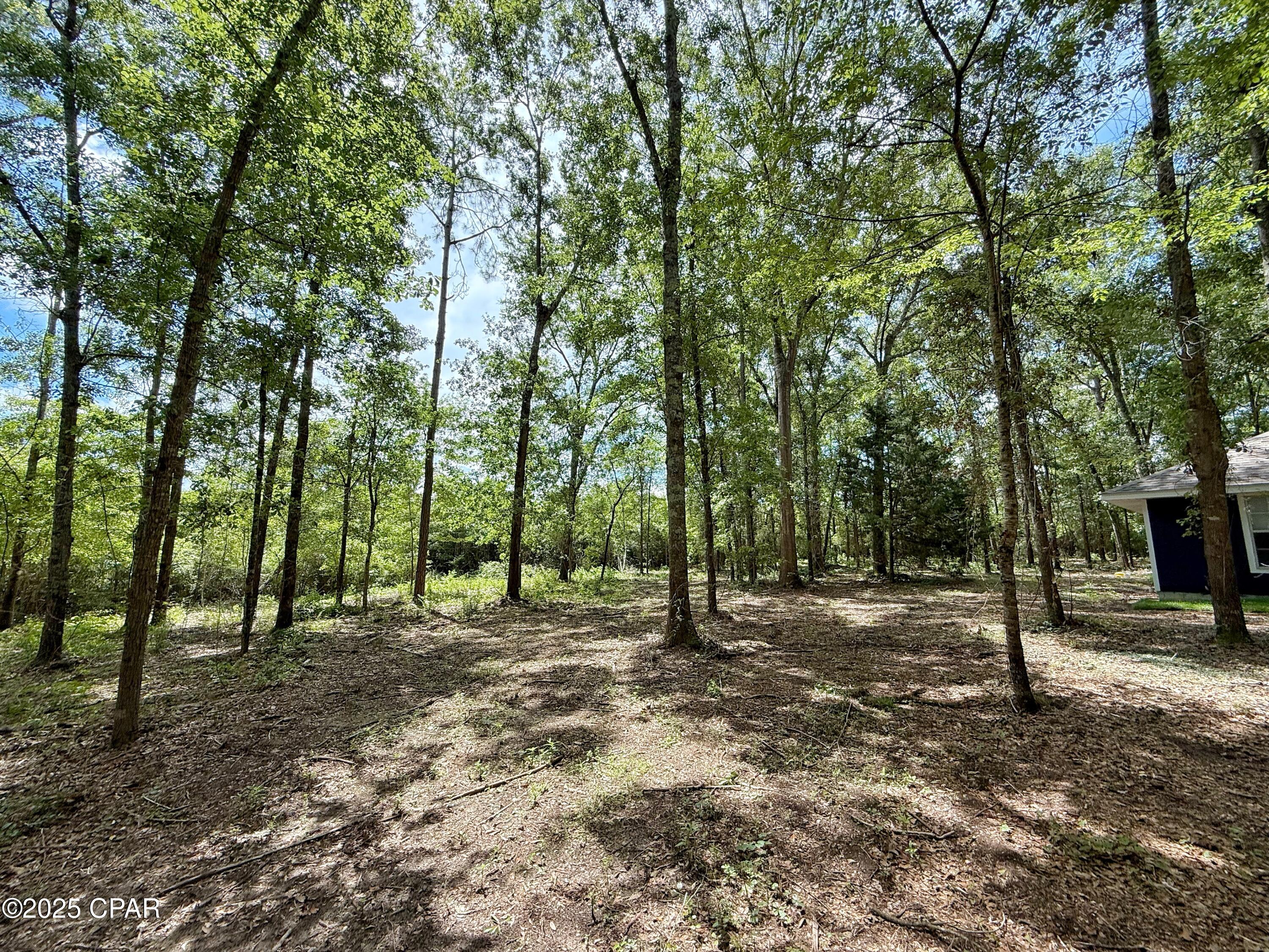 4734 Cliff Road, Graceville, Florida image 37