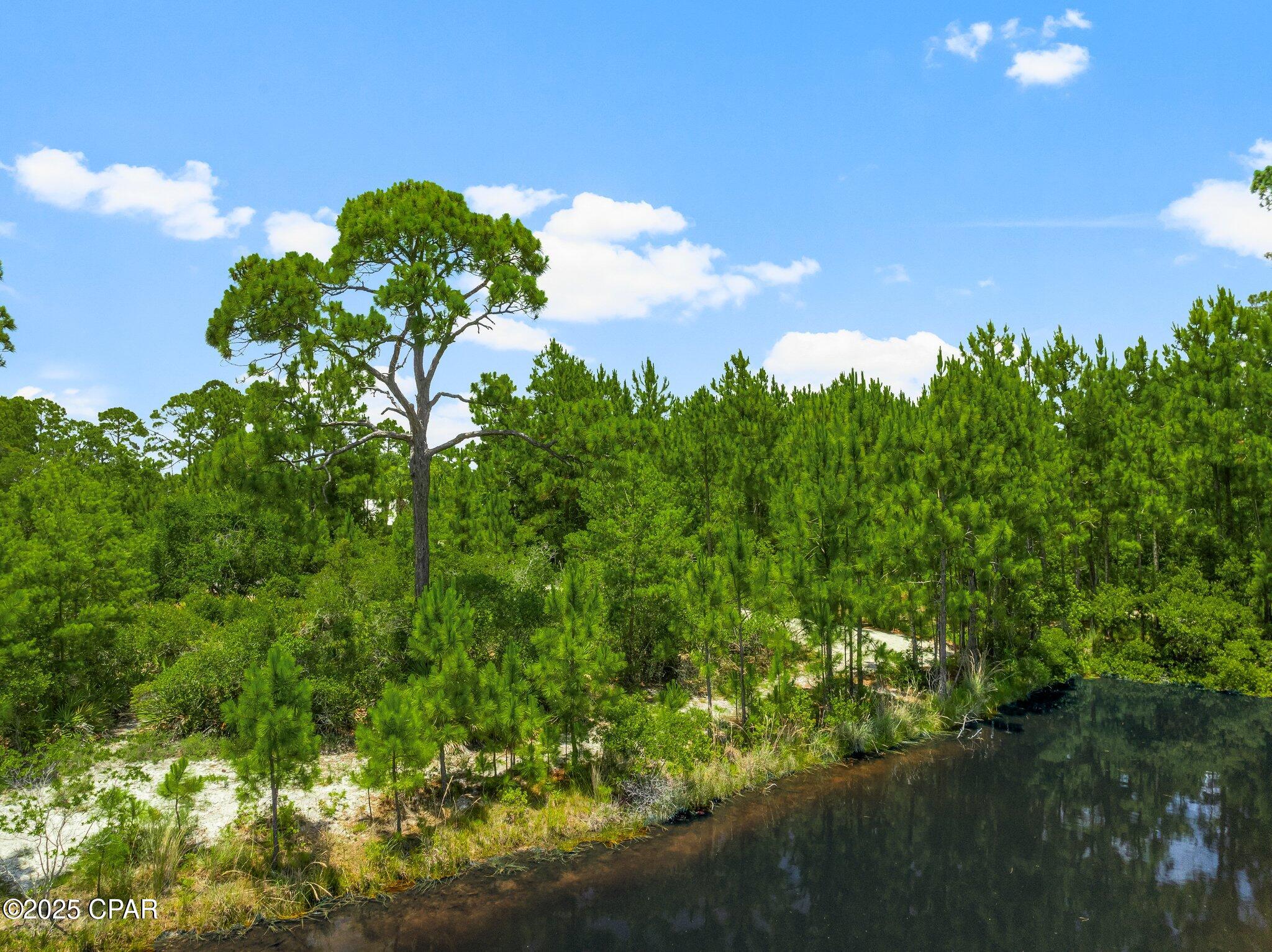 5226 Kingston Circle, Panama City, Florida image 7
