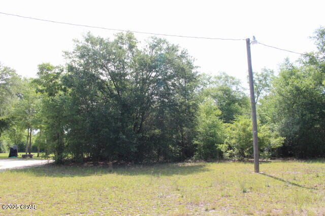 5929 Nichols Road, Bascom, Florida image 1