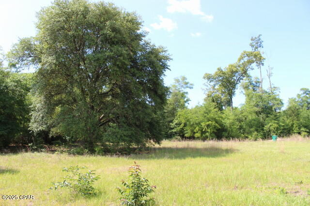 5929 Nichols Road, Bascom, Florida image 15