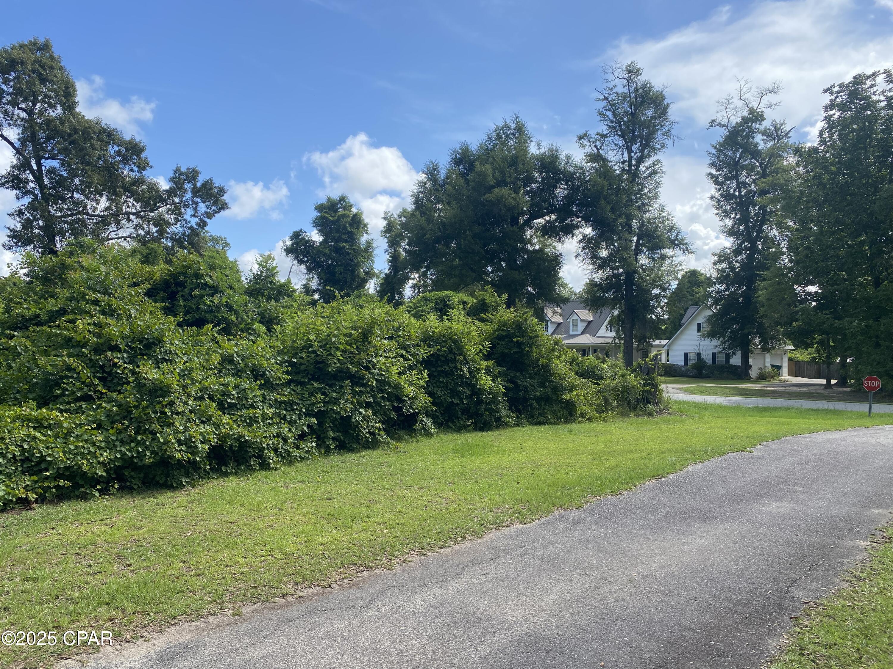Image 1 For 0000 Magnolia Blossom Lane 2