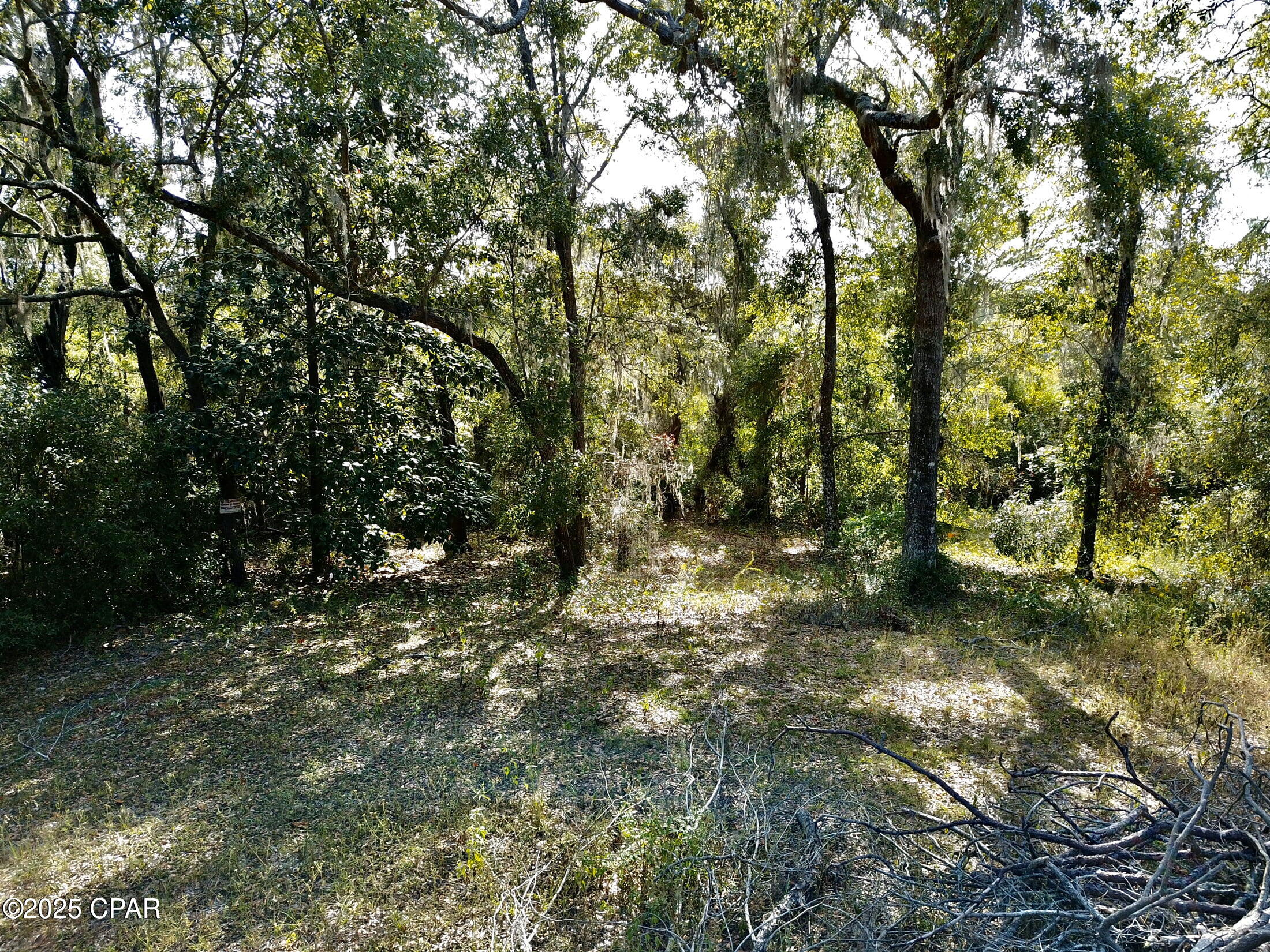 Image 16 For Lot 37 Cove Road