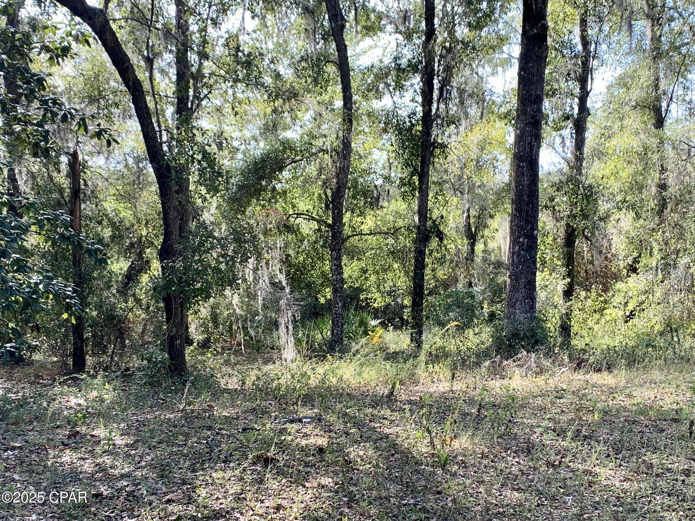 Lot 37 Cove Road, Chipley, Florida image 17