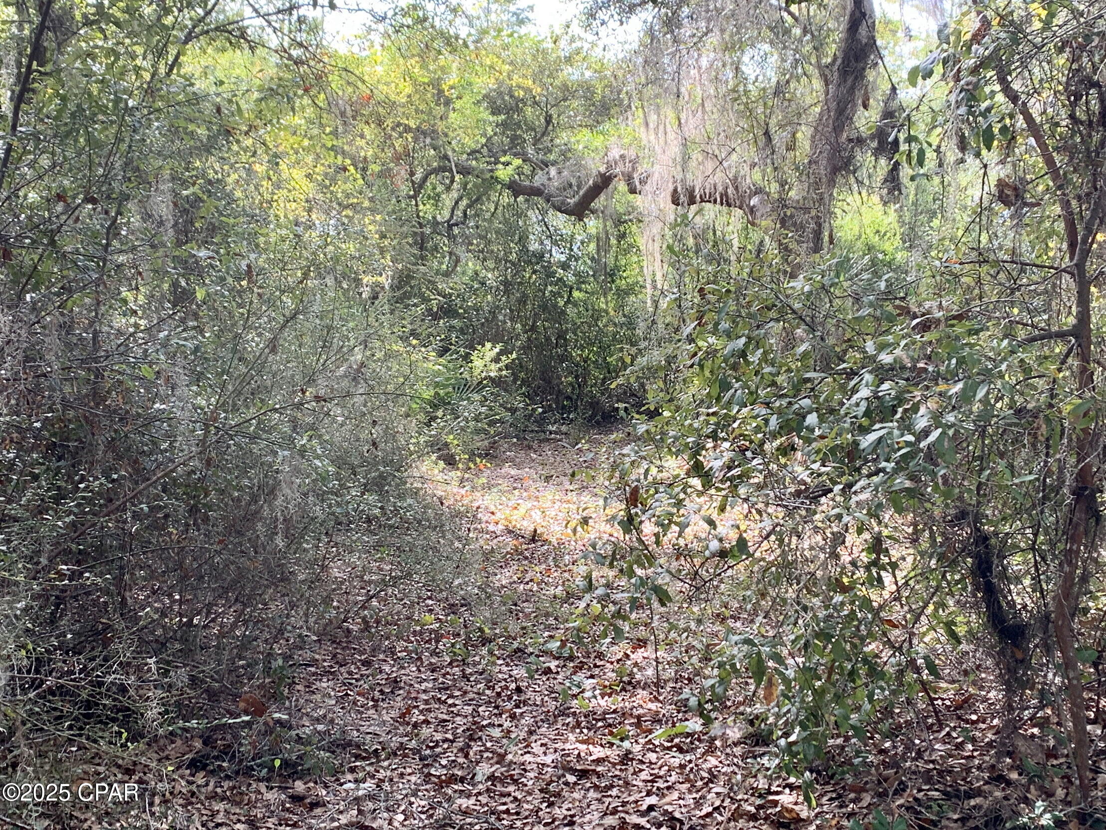 Lot 37 Cove Road, Chipley, Florida image 7