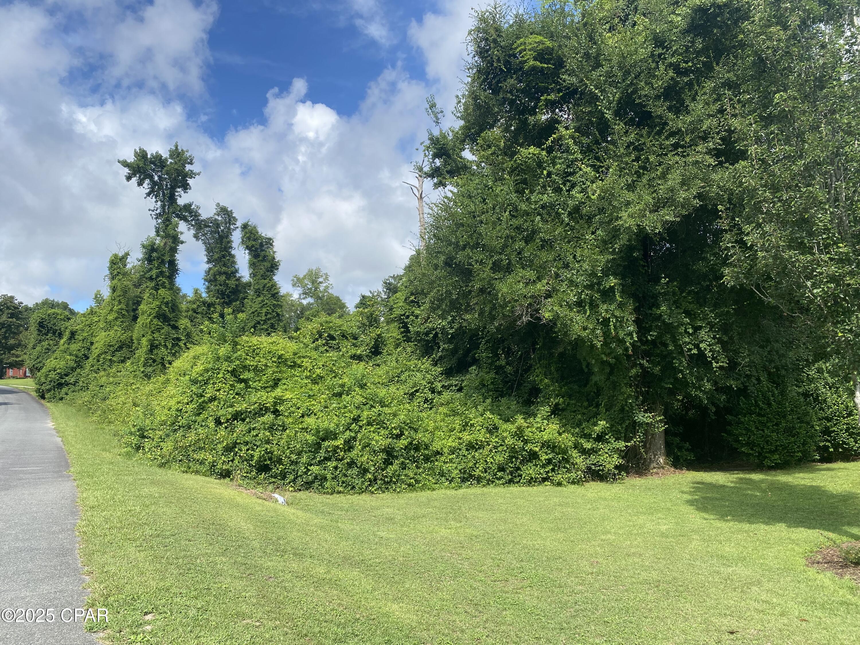 Details for 0000 Magnolia Blossom Lane 16, Marianna, FL 32446