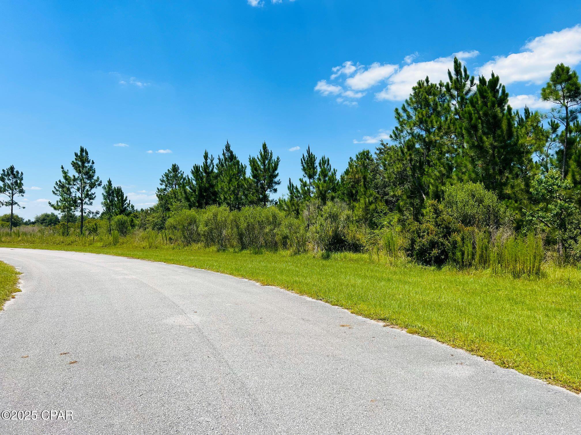 128 Creek Pines Circle, Wewahitchka, Florida image 2