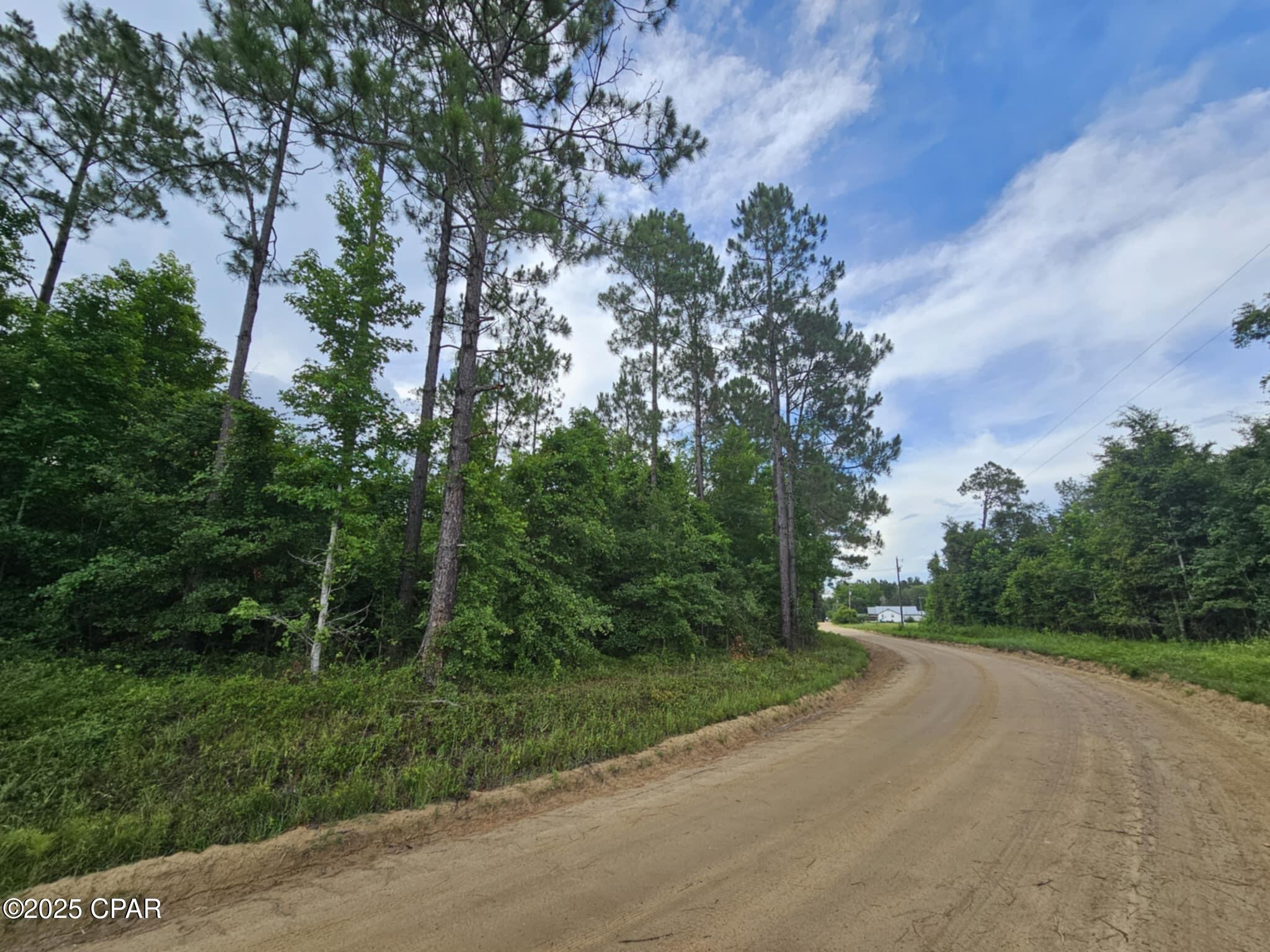 TBD Obert Road, Cottondale, Florida image 4