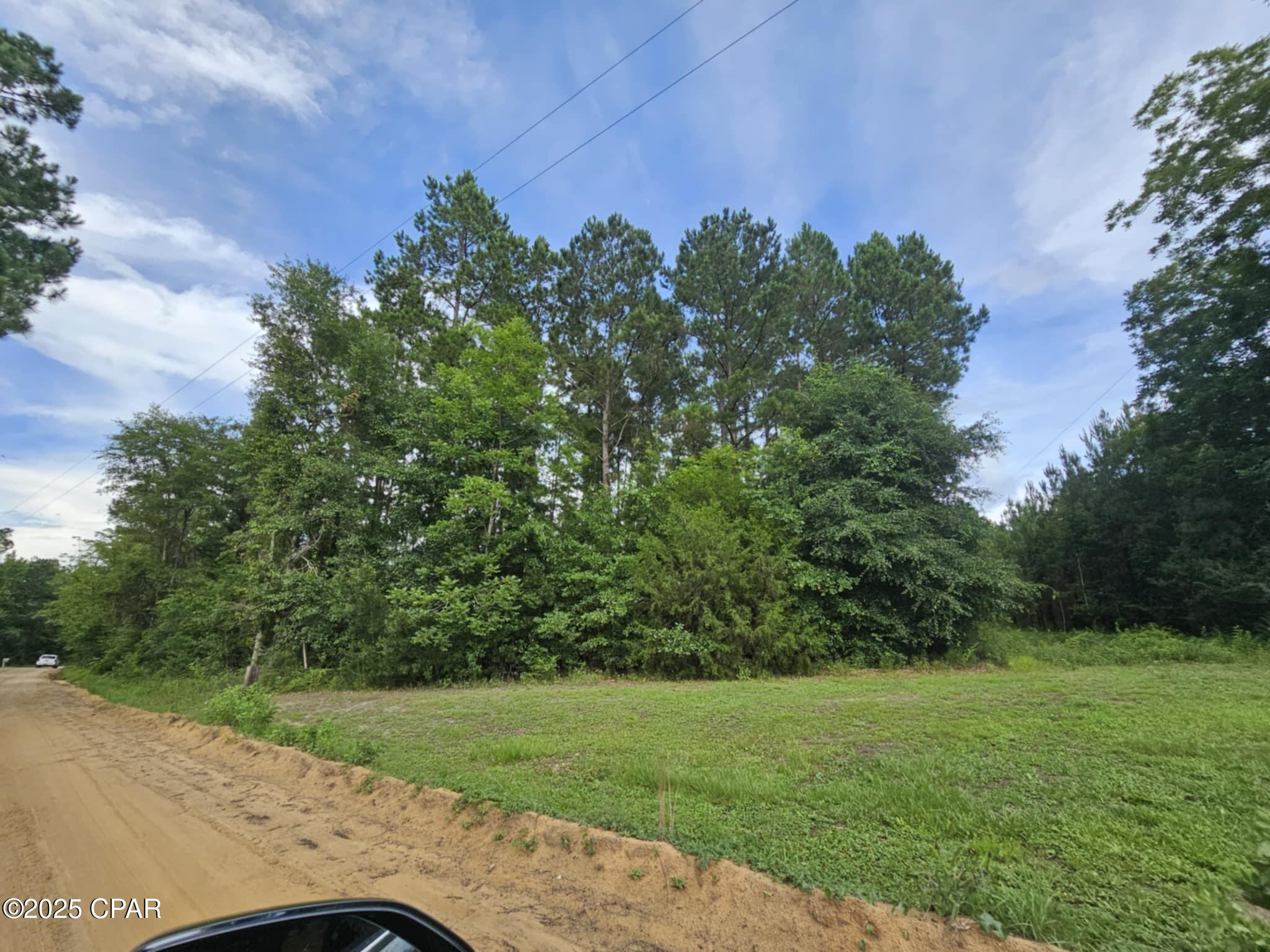 TBD Obert Road, Cottondale, Florida image 3