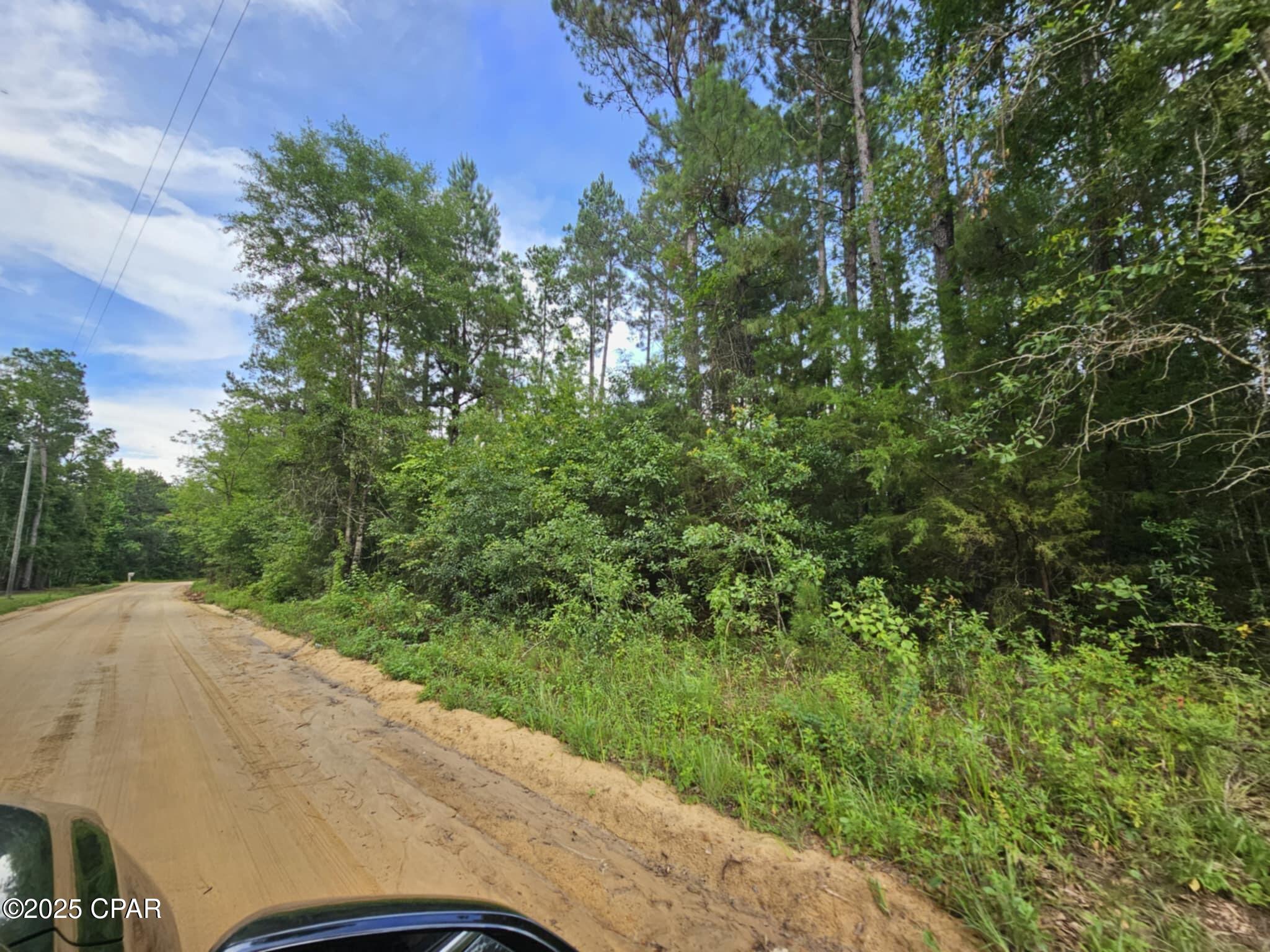 TBD Obert Road, Cottondale, Florida image 5