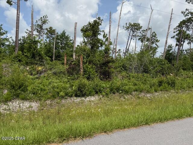 125 N Patrick Street, Port St. Joe, Florida image 41