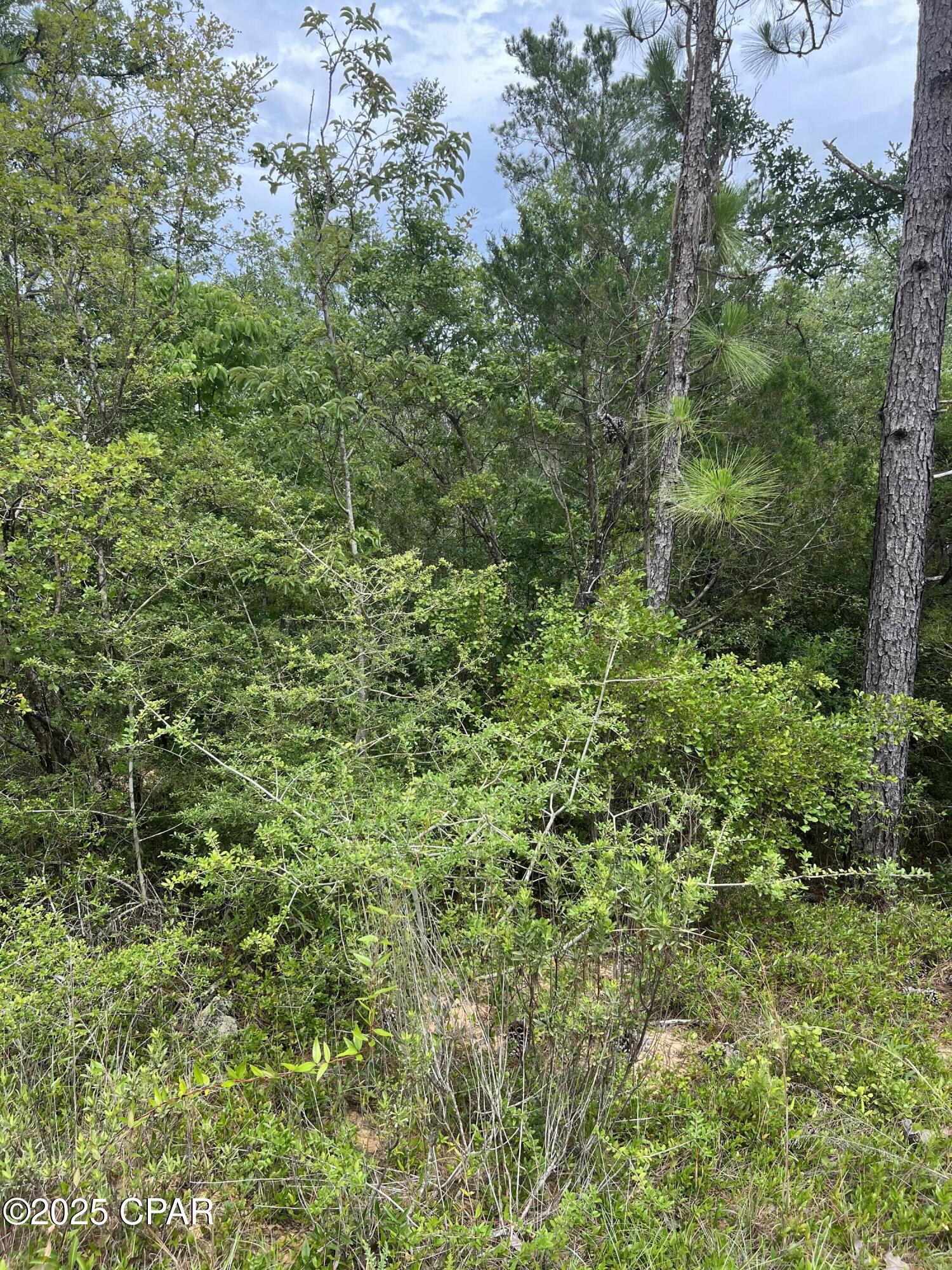 00 Aster Circle, Marianna, Florida image 1