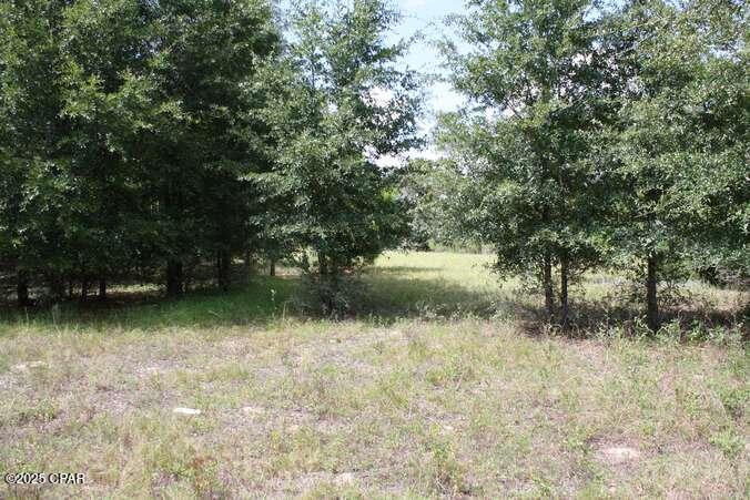 TBD Us 90 Highway, Marianna, Florida image 3