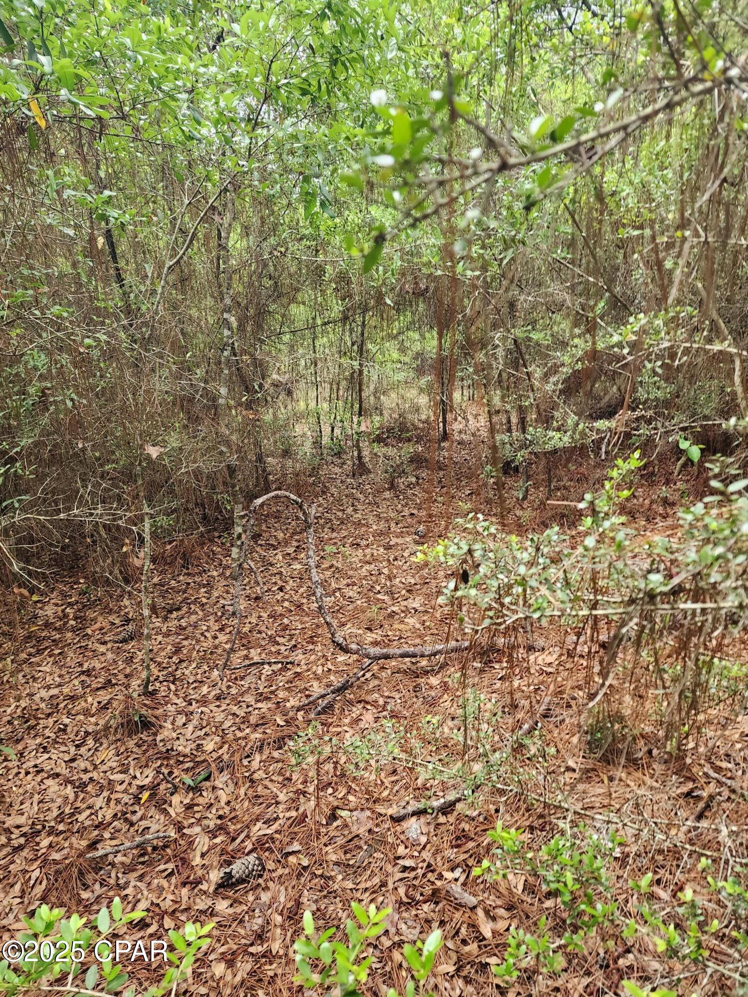 Poverty Creek Road Road, Crestview, Florida image 10