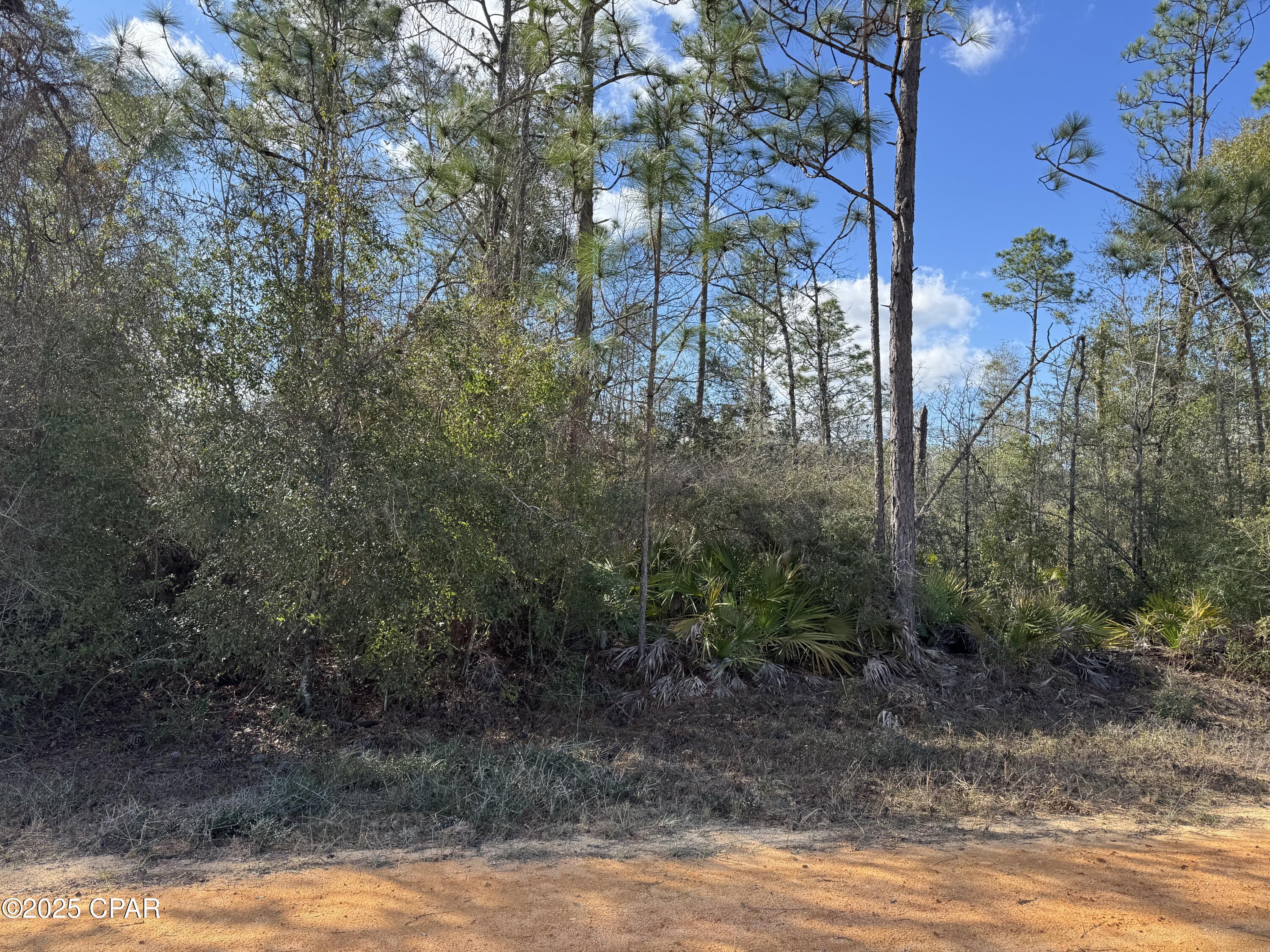Monogahela Avenue, Alford, Florida image 2
