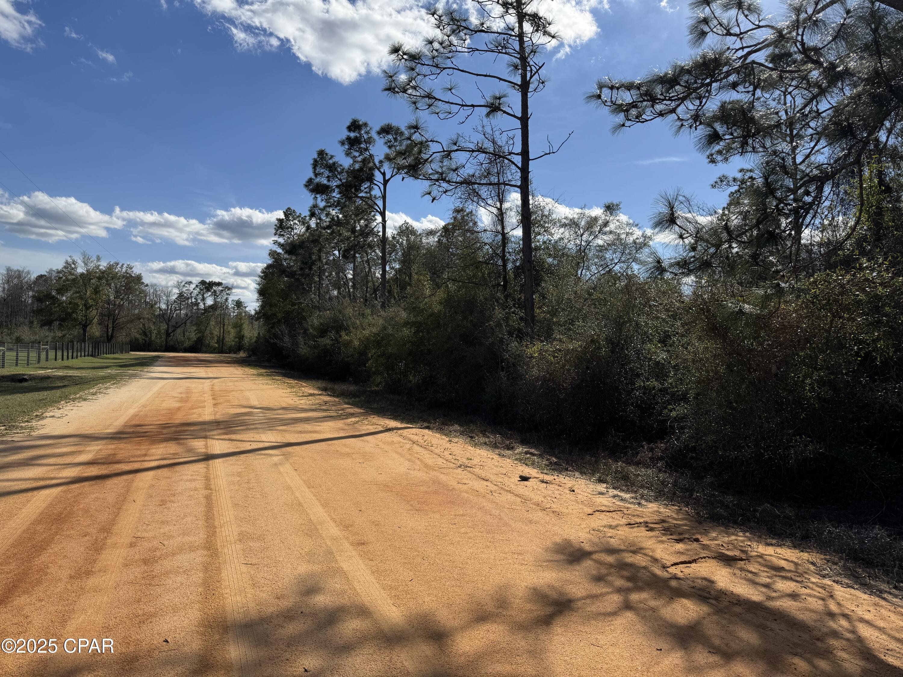 Monogahela Avenue, Alford, Florida image 4