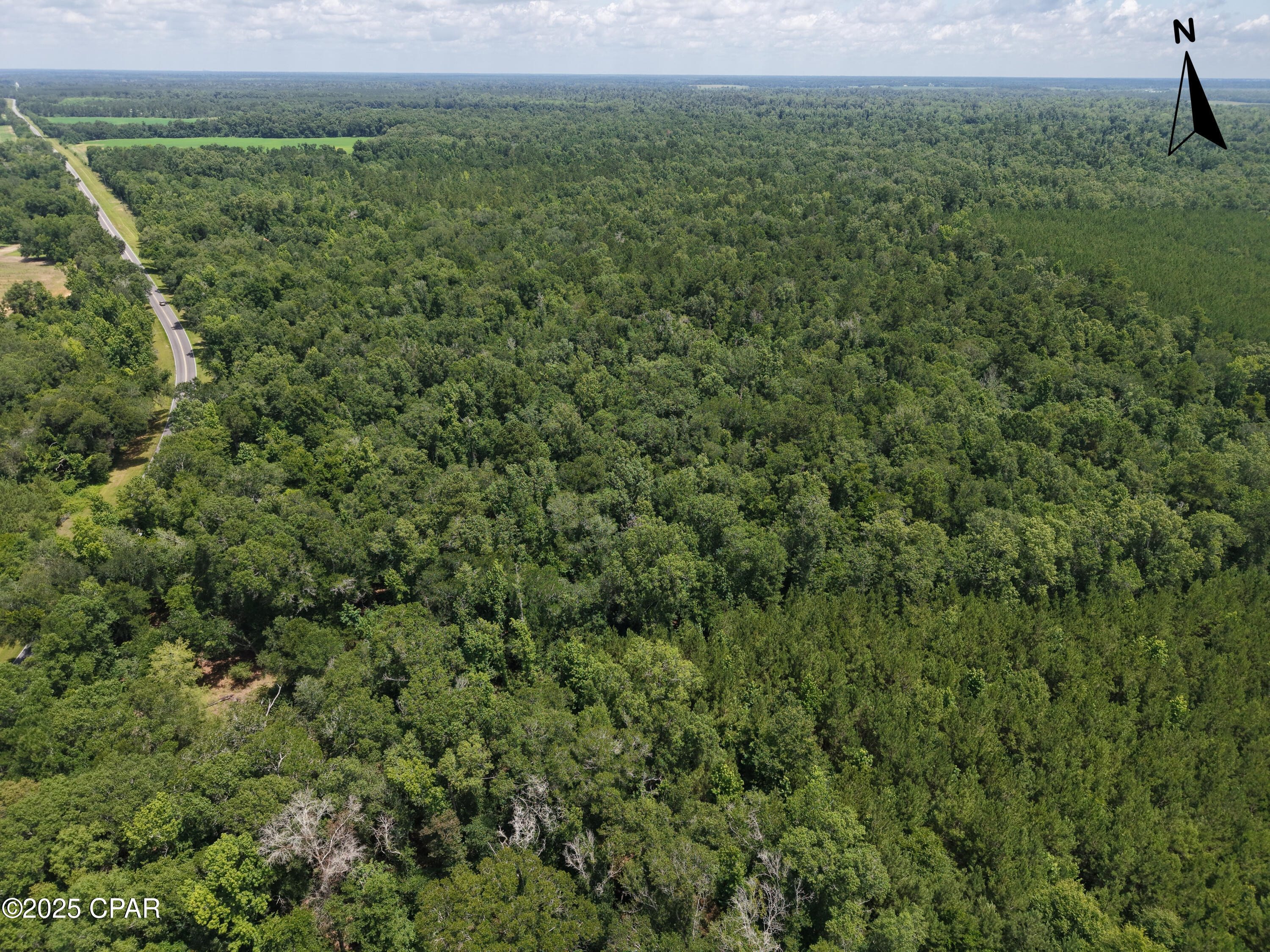 River Rd. Road, Bascom, Florida image 6