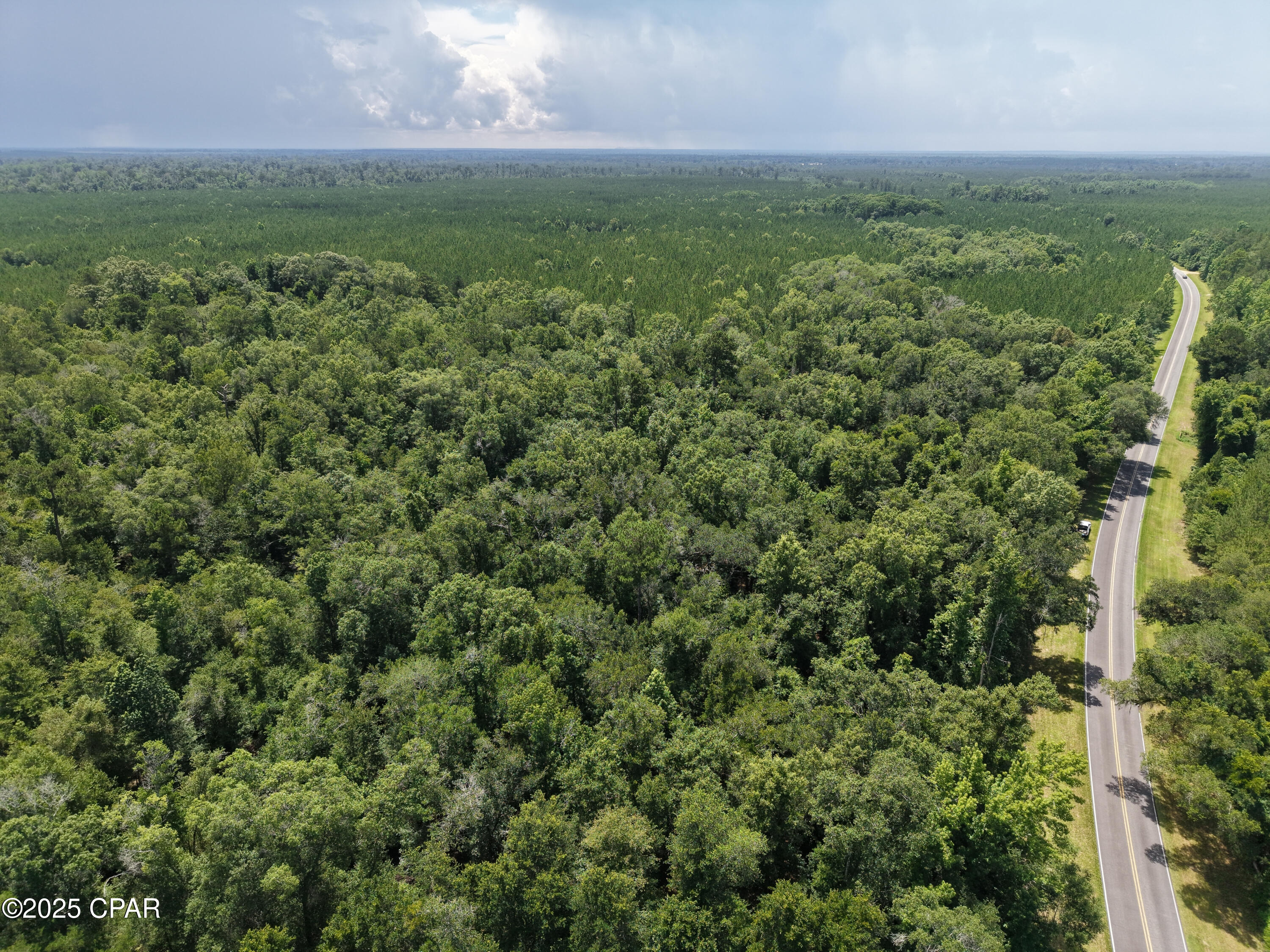 River Rd. Road, Bascom, Florida image 8
