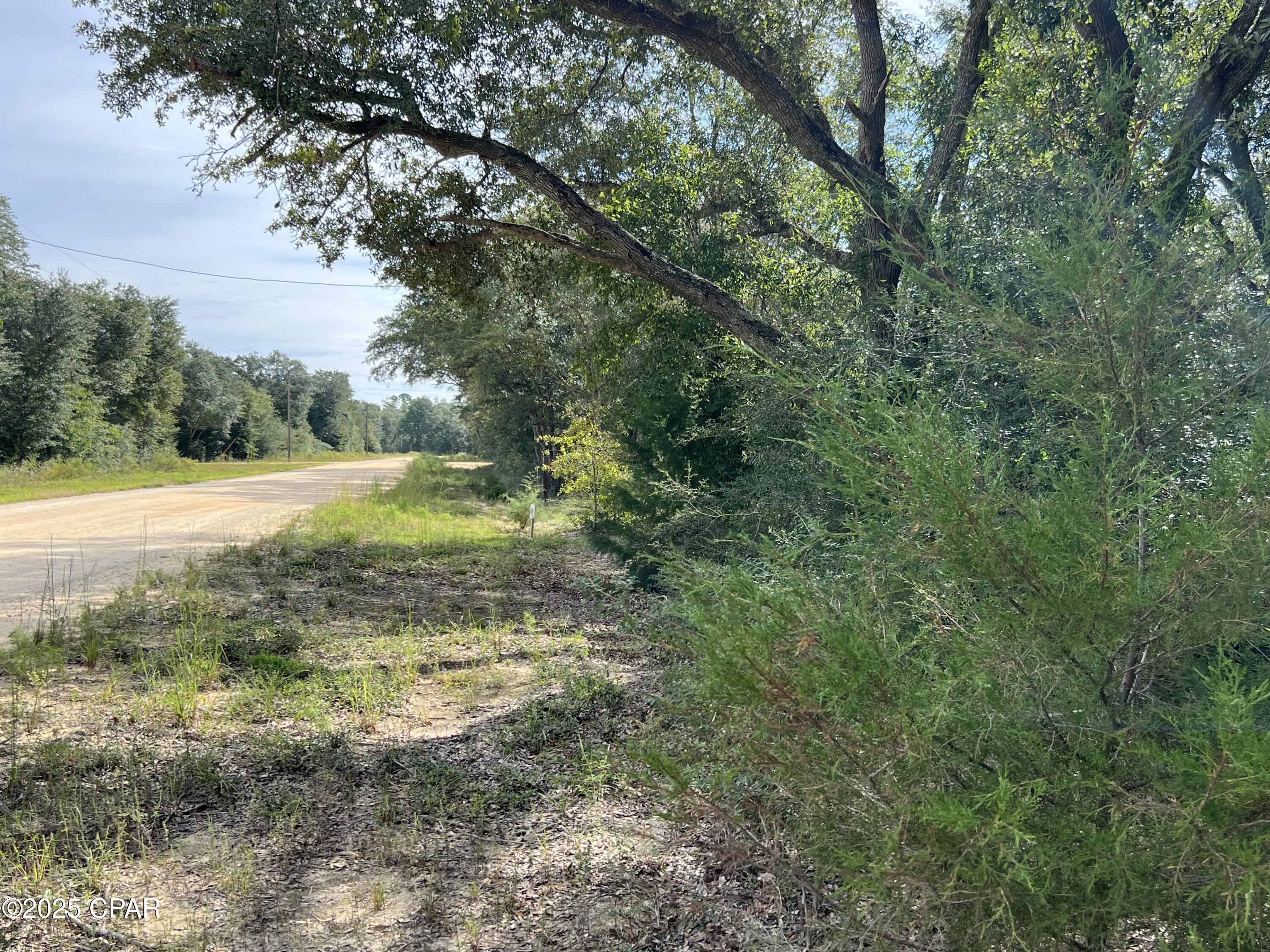 3561 Elm Road, Marianna, Florida image 3