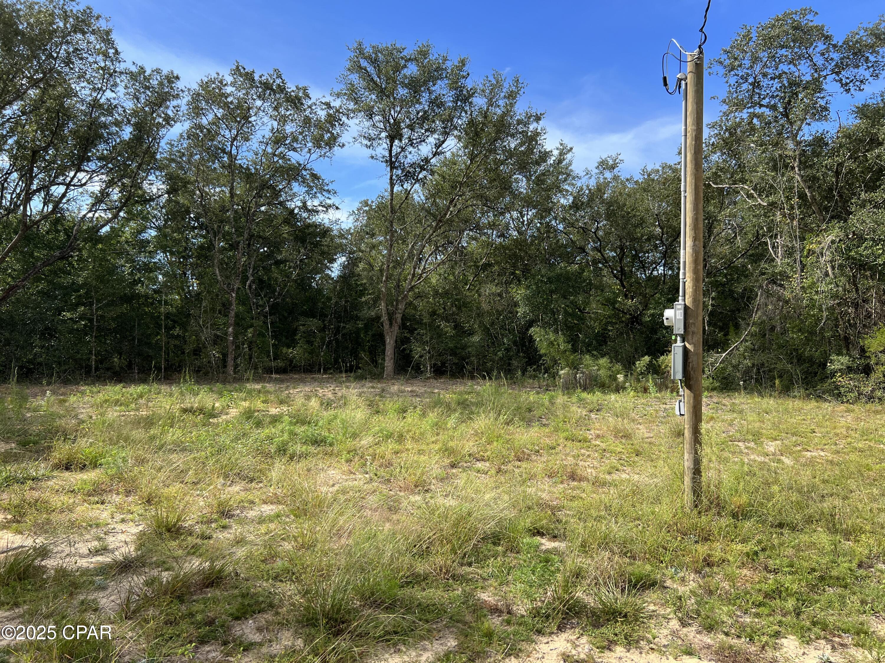 3561 Elm Road, Marianna, Florida image 8