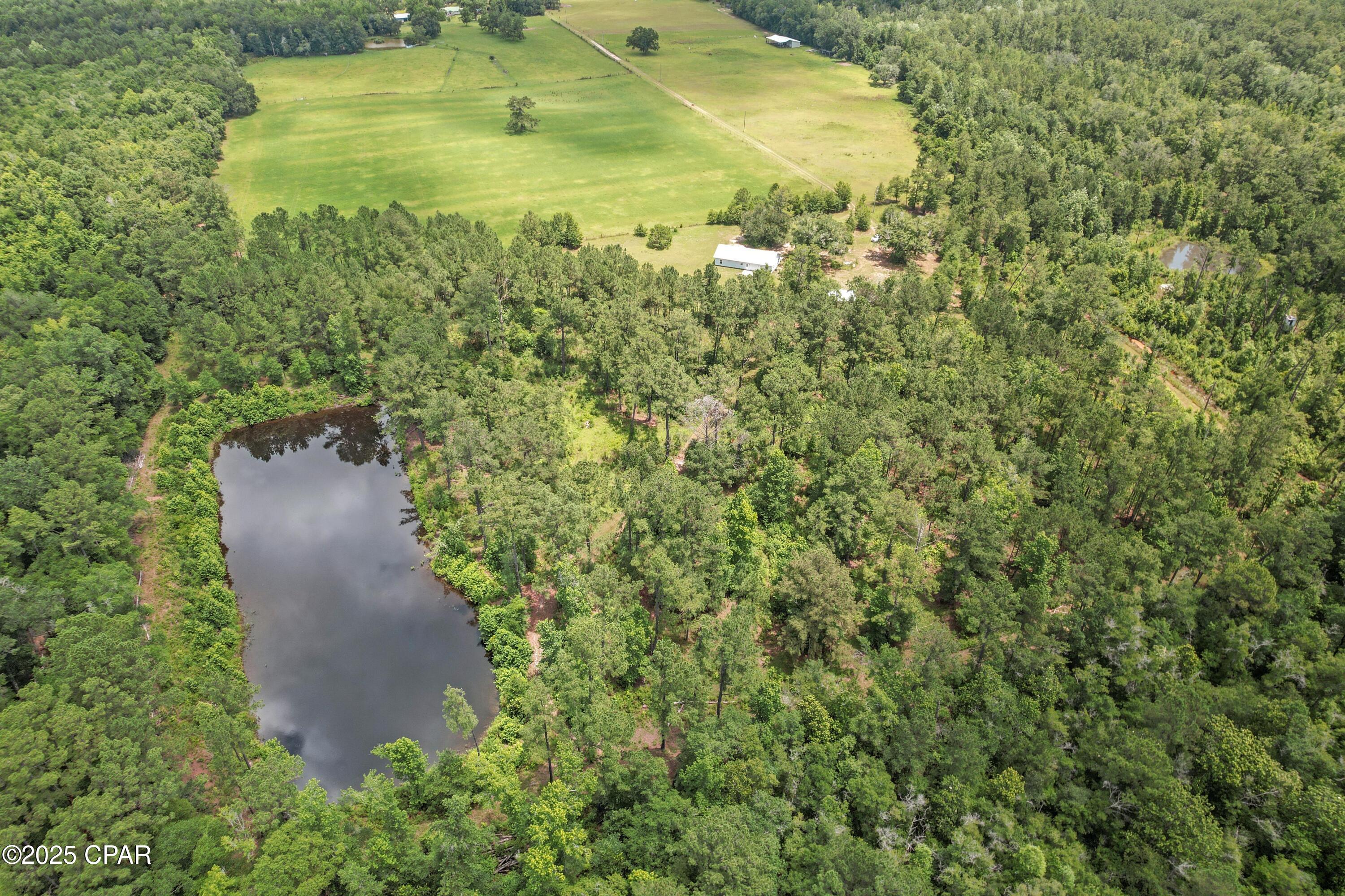 1653 Ledger Road, Chipley, Florida image 4