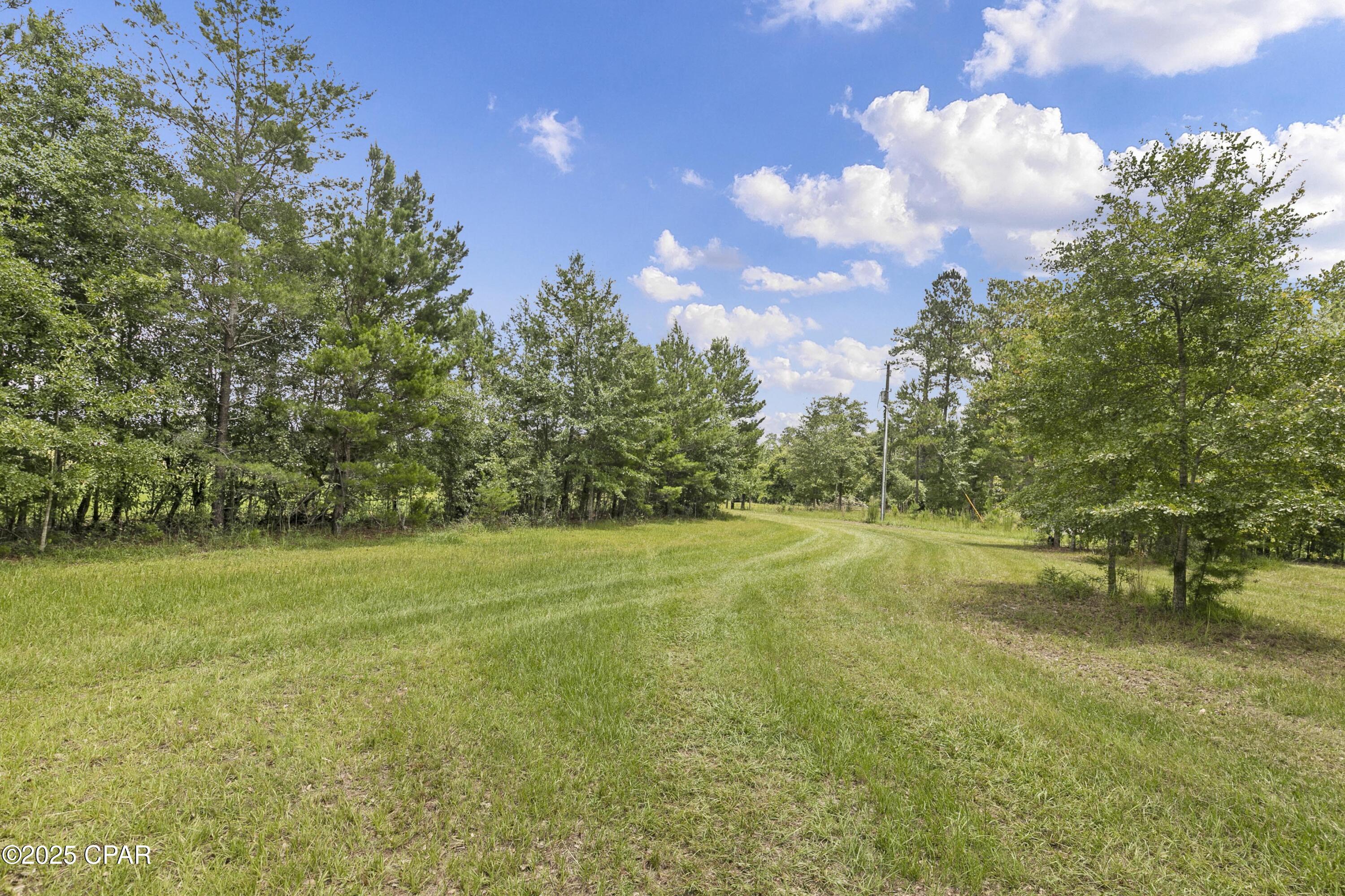 1653 Ledger Road, Chipley, Florida image 7