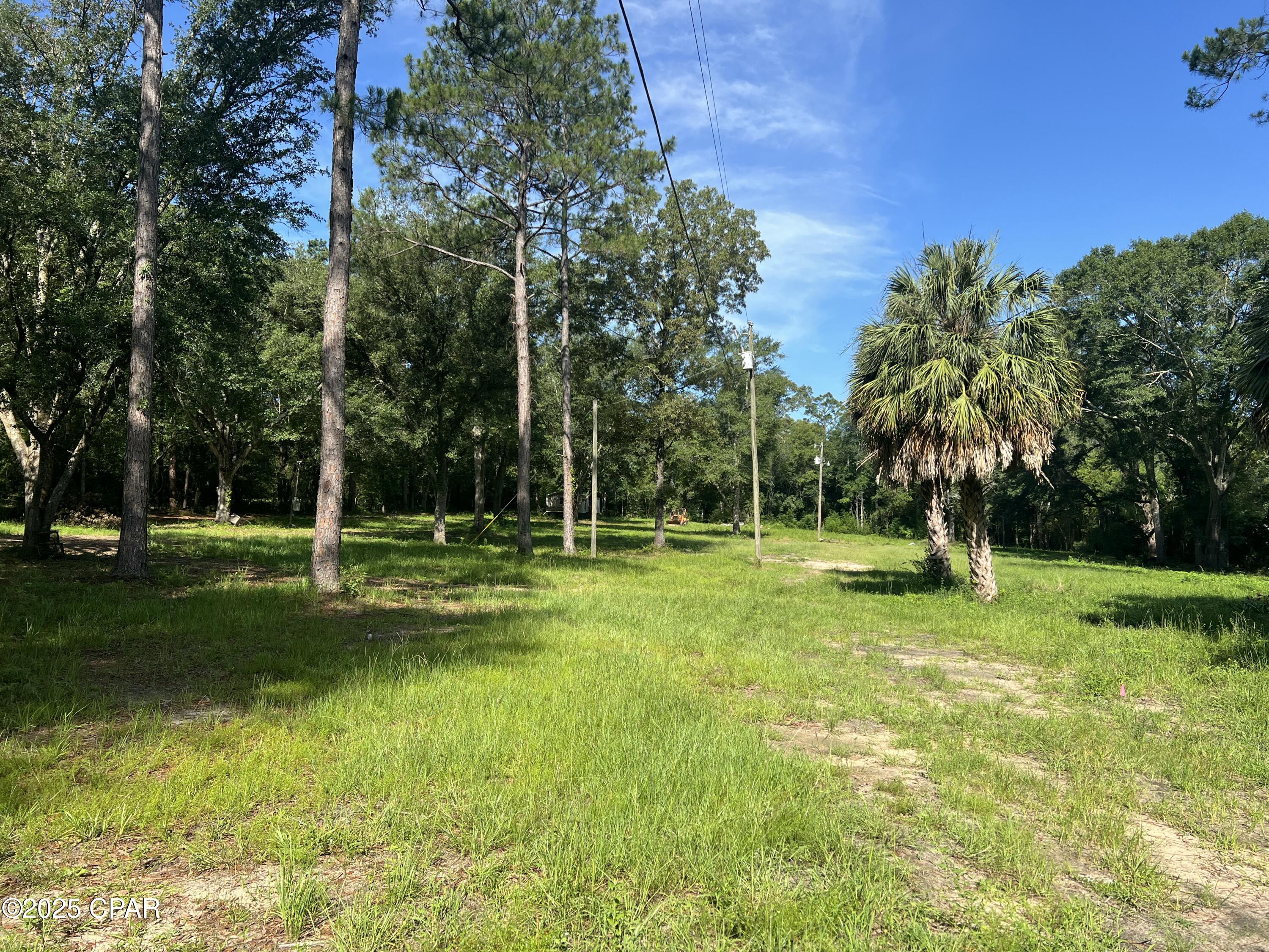 TBD Barefield Lane, Bonifay, Florida image 11