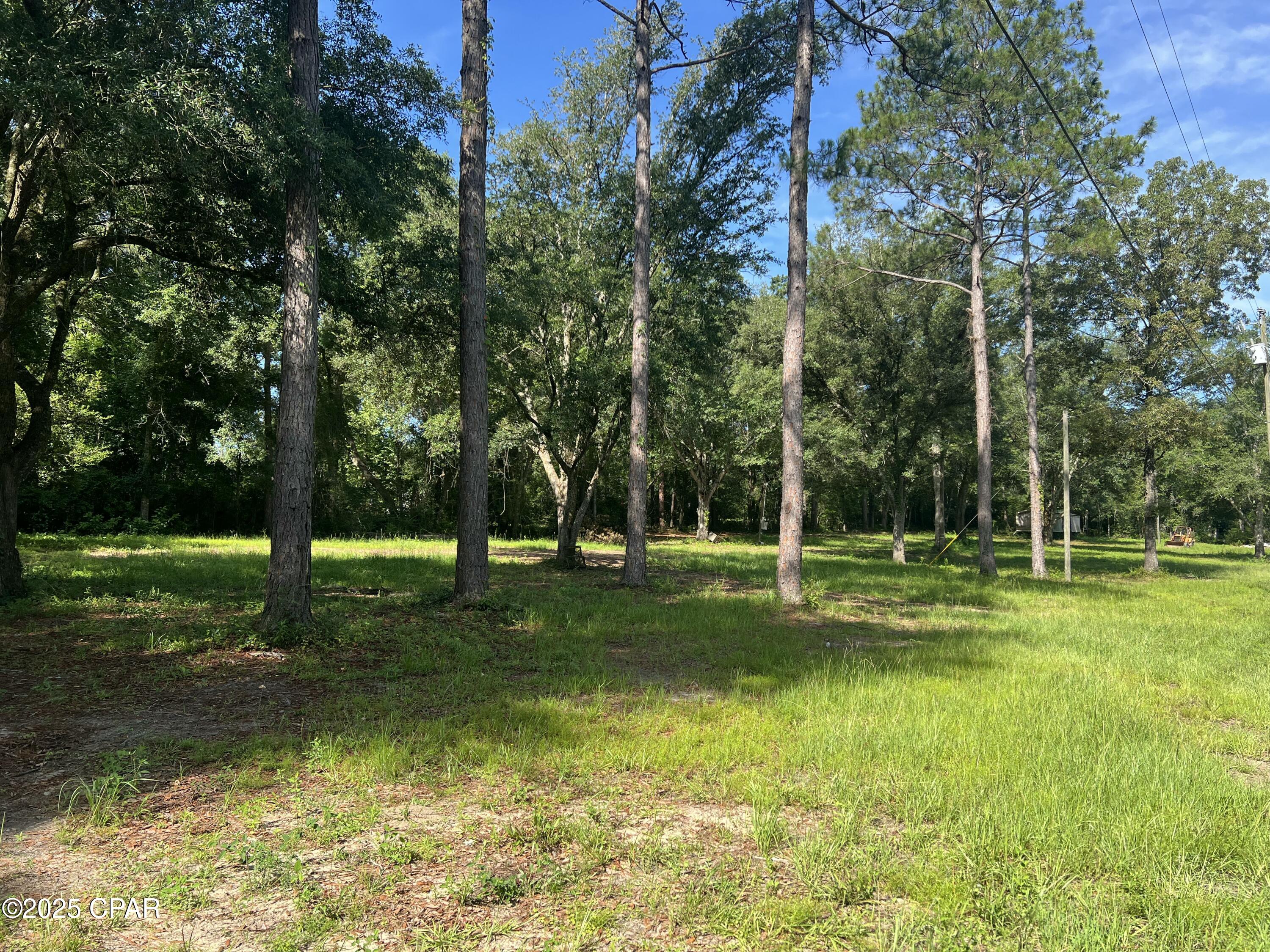 TBD Barefield Lane, Bonifay, Florida image 12