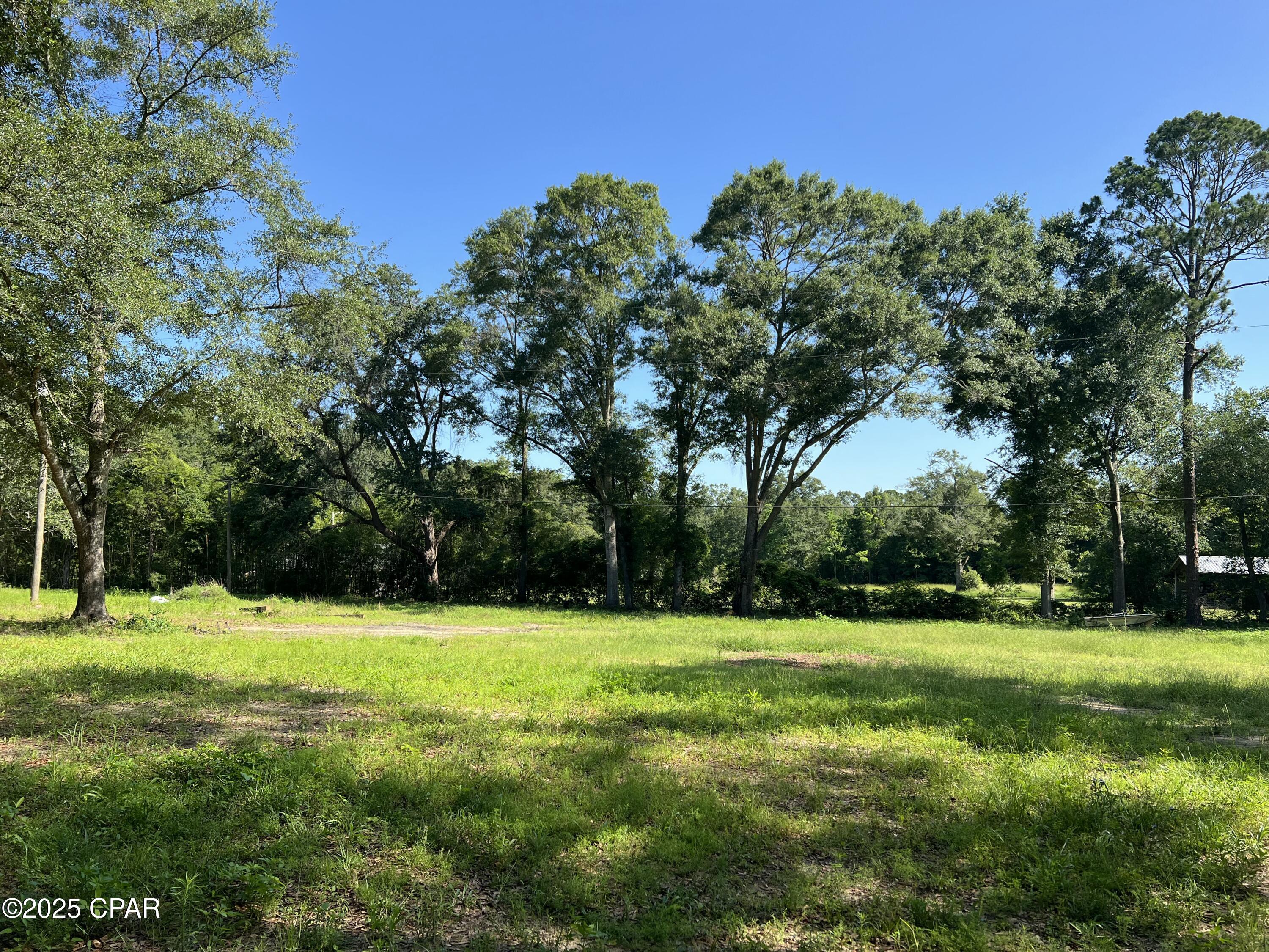 TBD Barefield Lane, Bonifay, Florida image 4