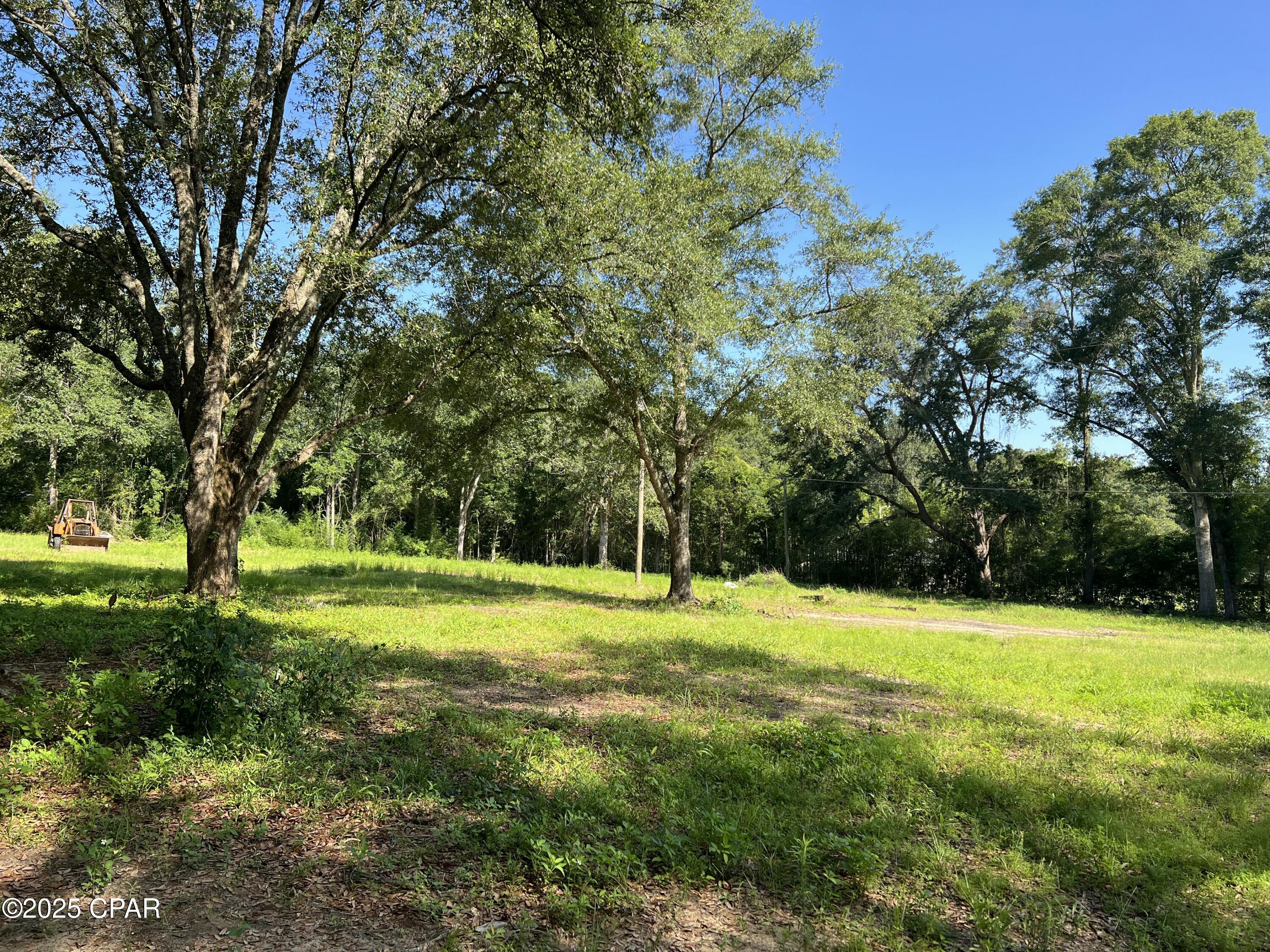 TBD Barefield Lane, Bonifay, Florida image 5