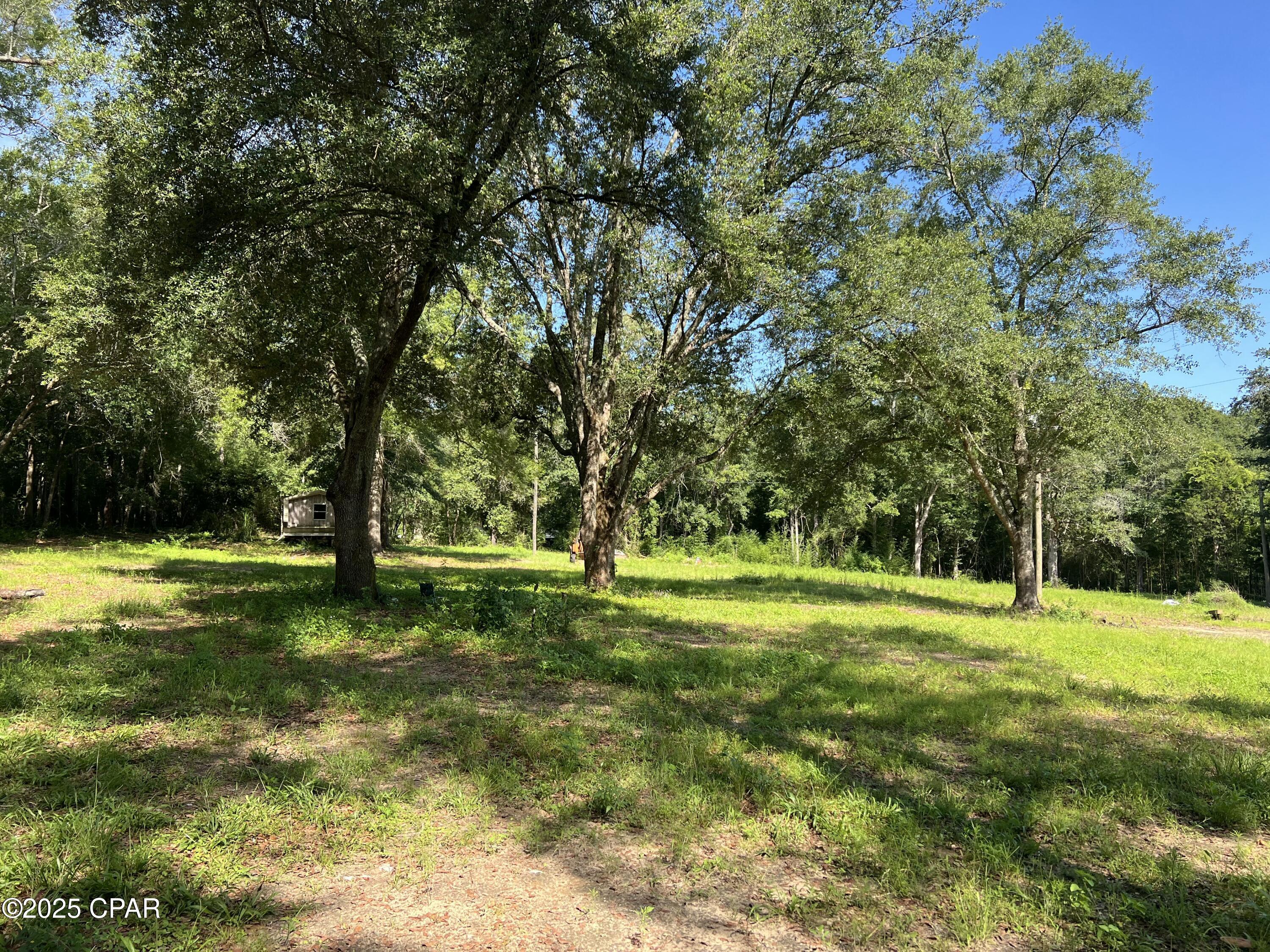 TBD Barefield Lane, Bonifay, Florida image 6