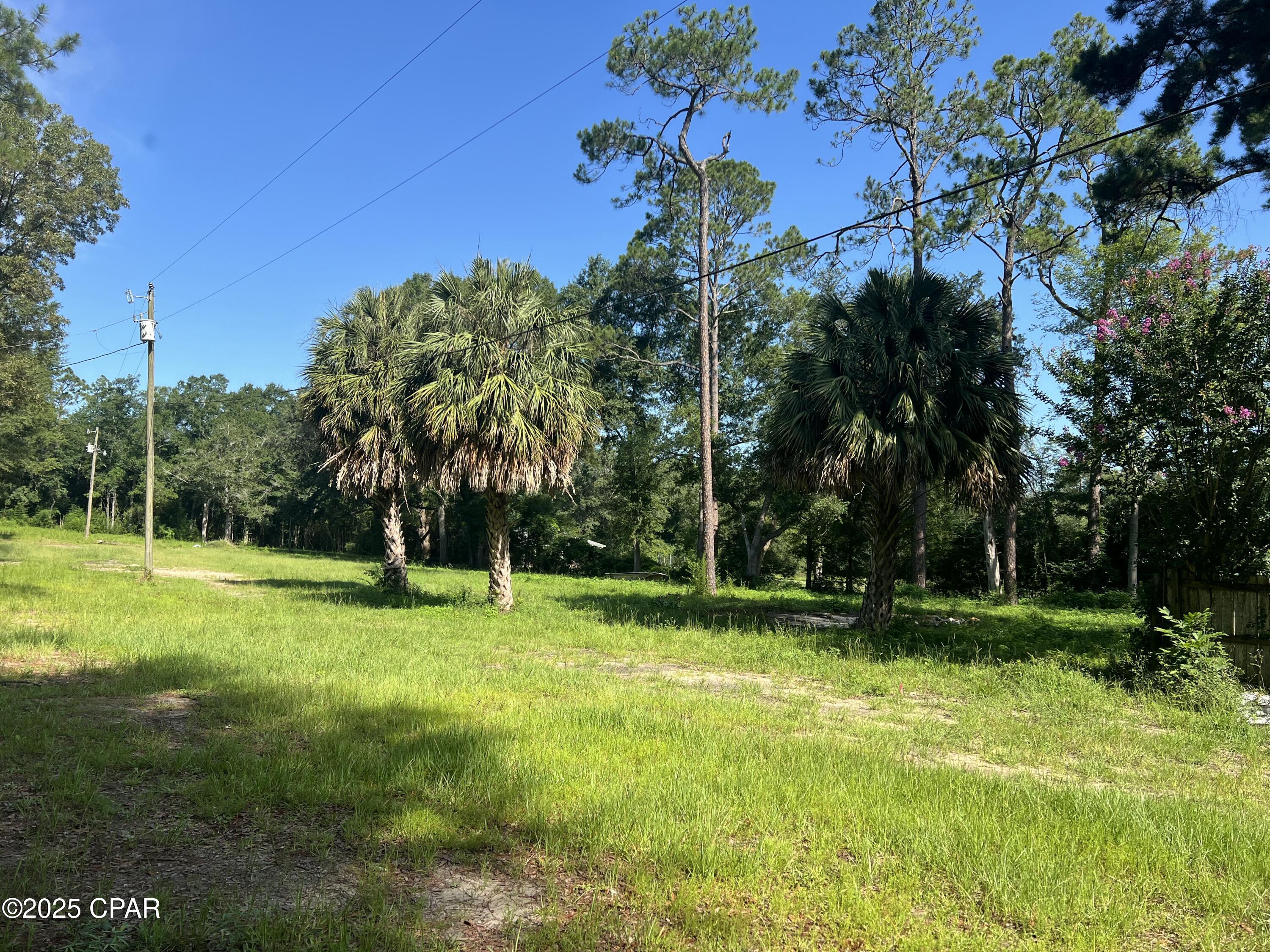 TBD Barefield Lane, Bonifay, Florida image 9