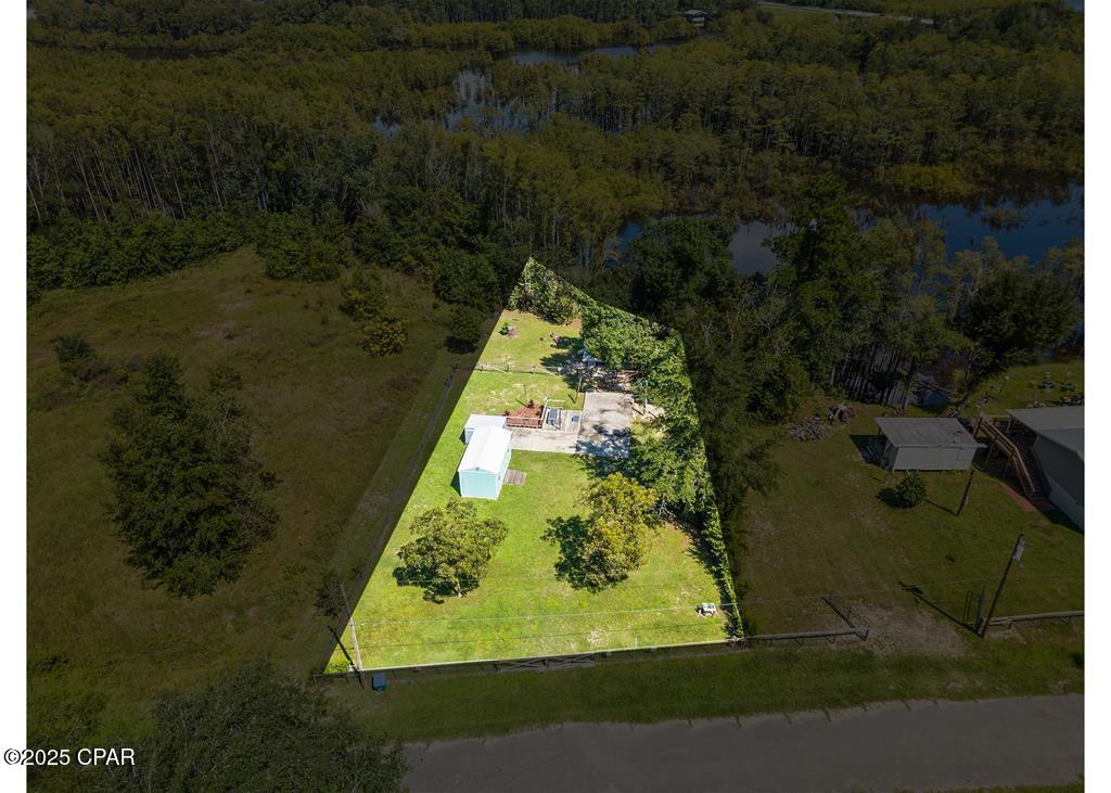 139 Bob Little Drive, Wewahitchka, Florida image 1
