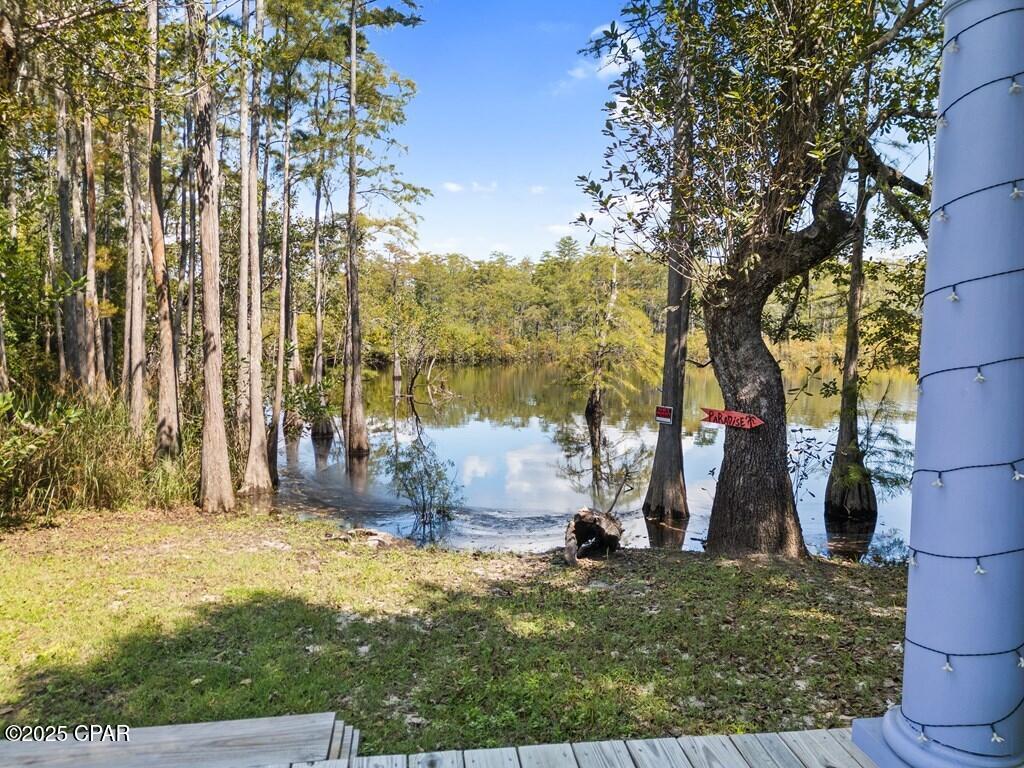 139 Bob Little Drive, Wewahitchka, Florida image 12