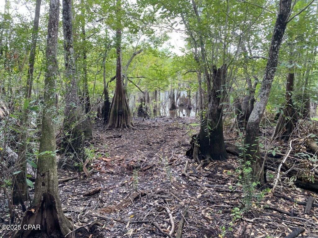 587 Texas Street, Wewahitchka, Florida image 10