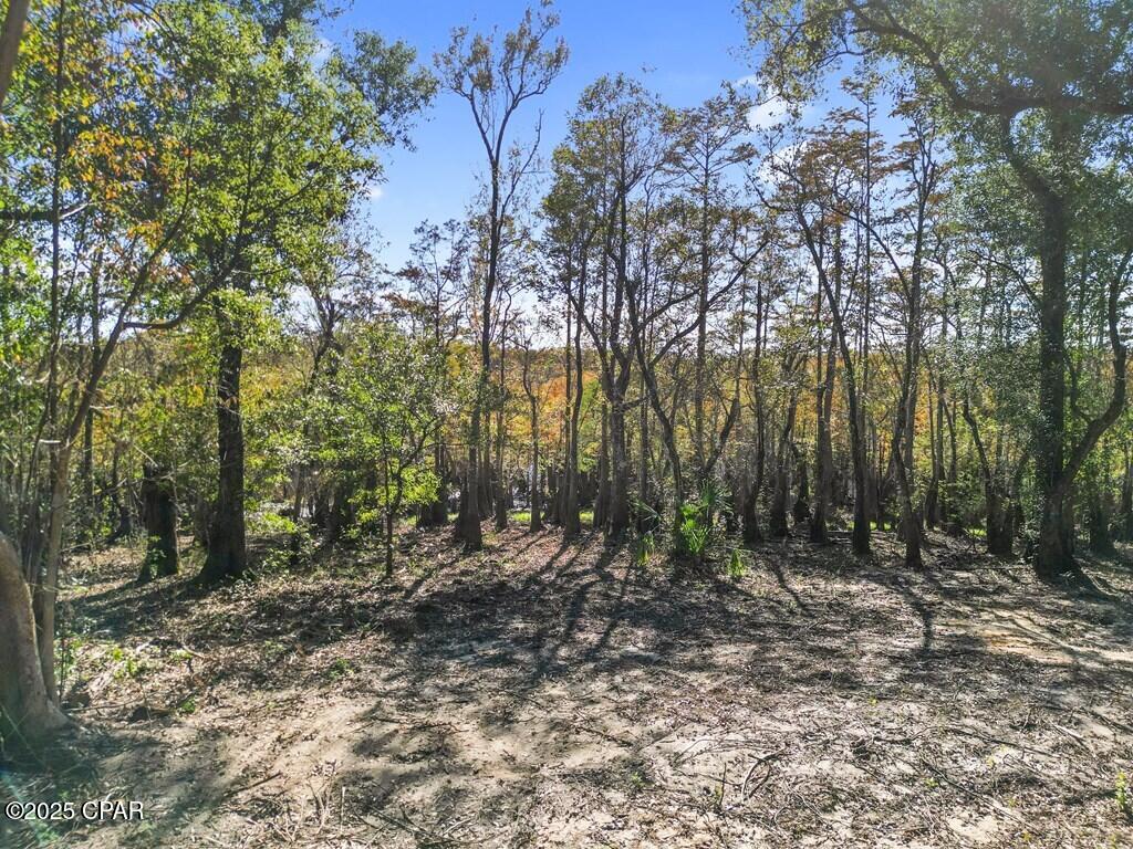 587 Texas Street, Wewahitchka, Florida image 15